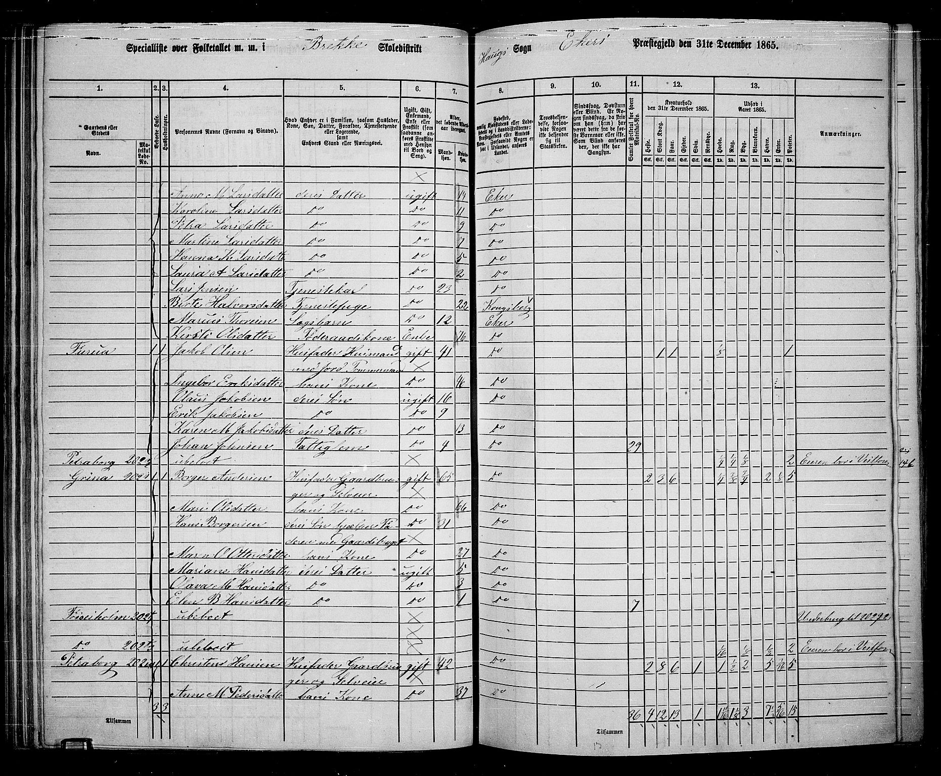 RA, 1865 census for Eiker, 1865, p. 80