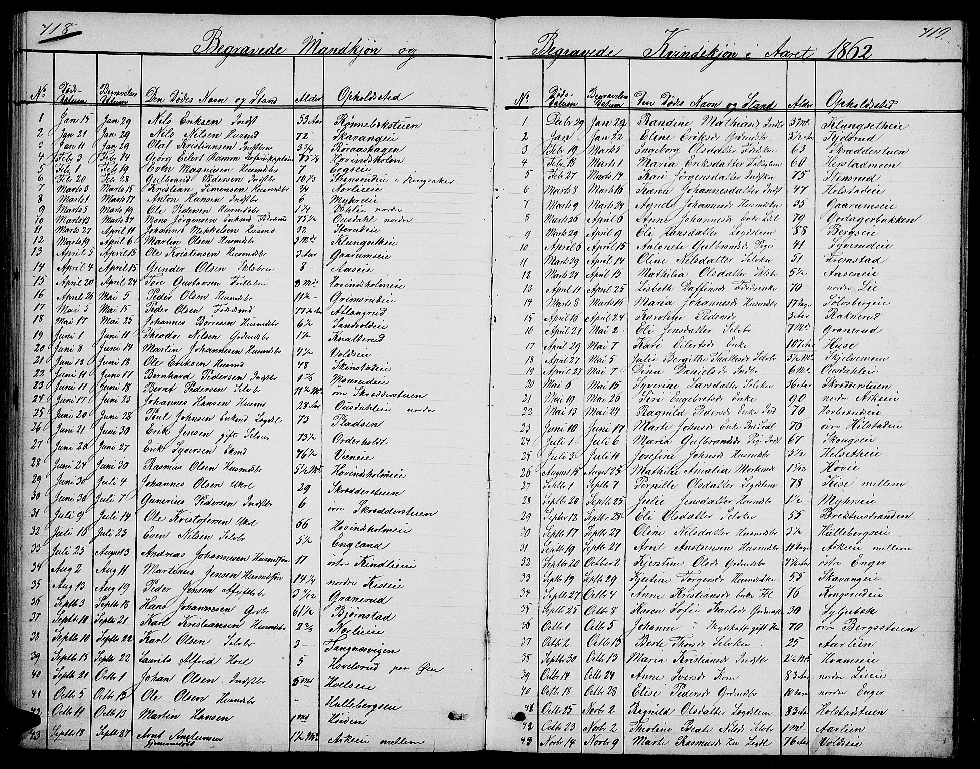Nes prestekontor, Hedmark, SAH/PREST-020/L/La/L0005: Parish register (copy) no. 5, 1852-1889, p. 718-719