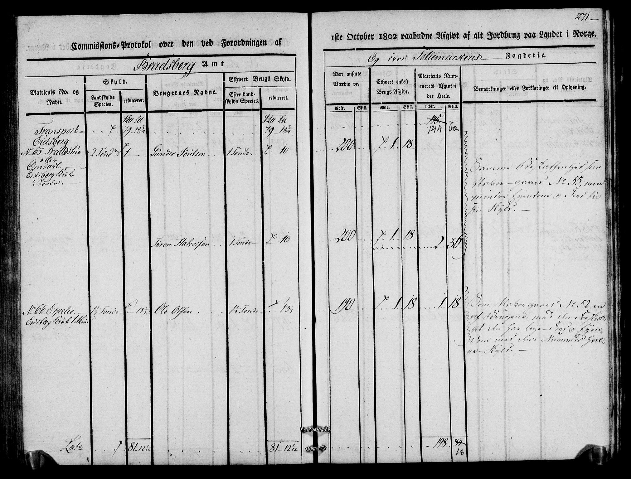 Rentekammeret inntil 1814, Realistisk ordnet avdeling, AV/RA-EA-4070/N/Ne/Nea/L0075: Øvre Telemarken fogderi. Kommisjonsprotokoll for fogderiets vestre del - Kviteseid, Vinje, Moland [):Fyresdal] og Lårdal prestegjeld., 1803, p. 273