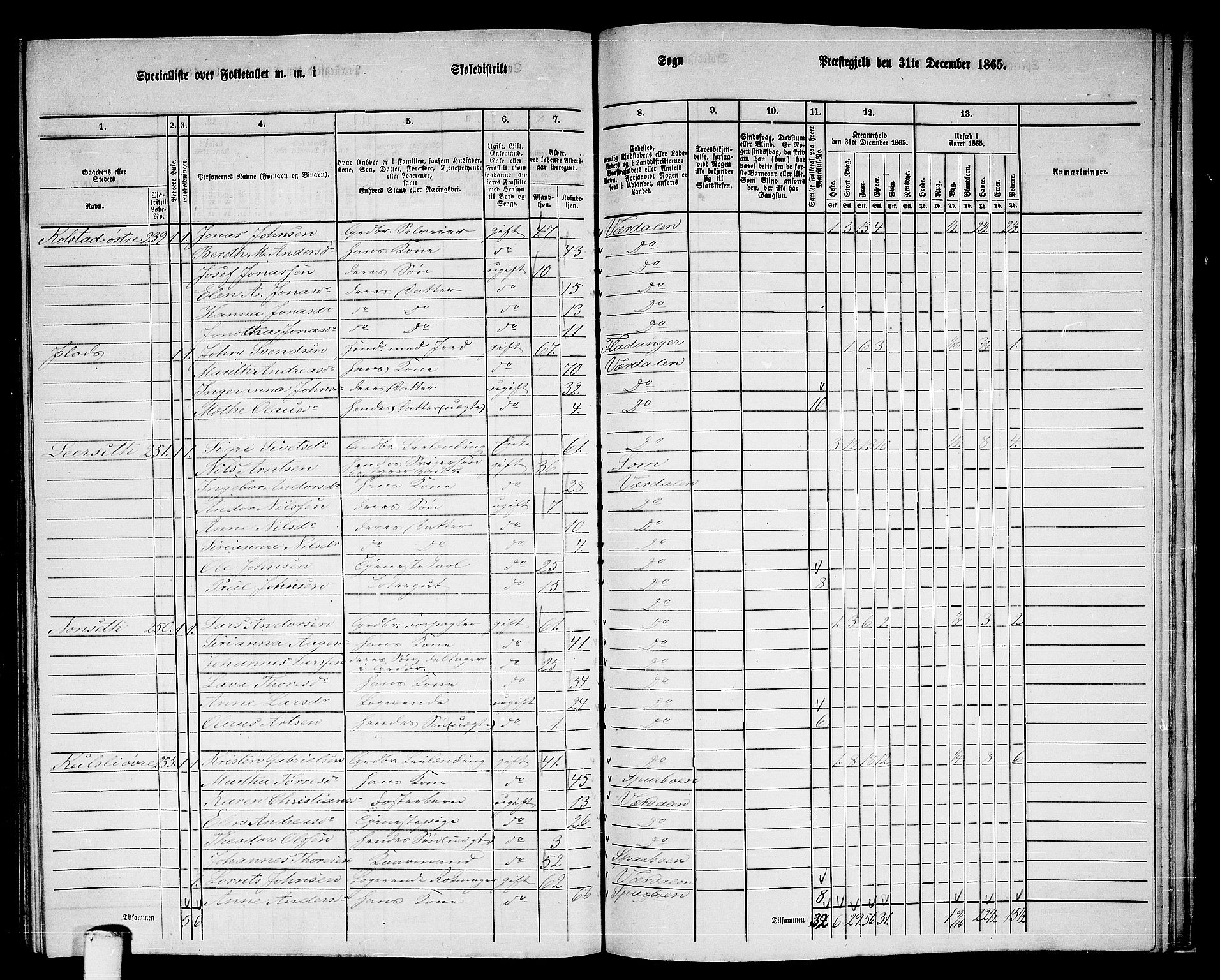 RA, 1865 census for Verdal, 1865, p. 245