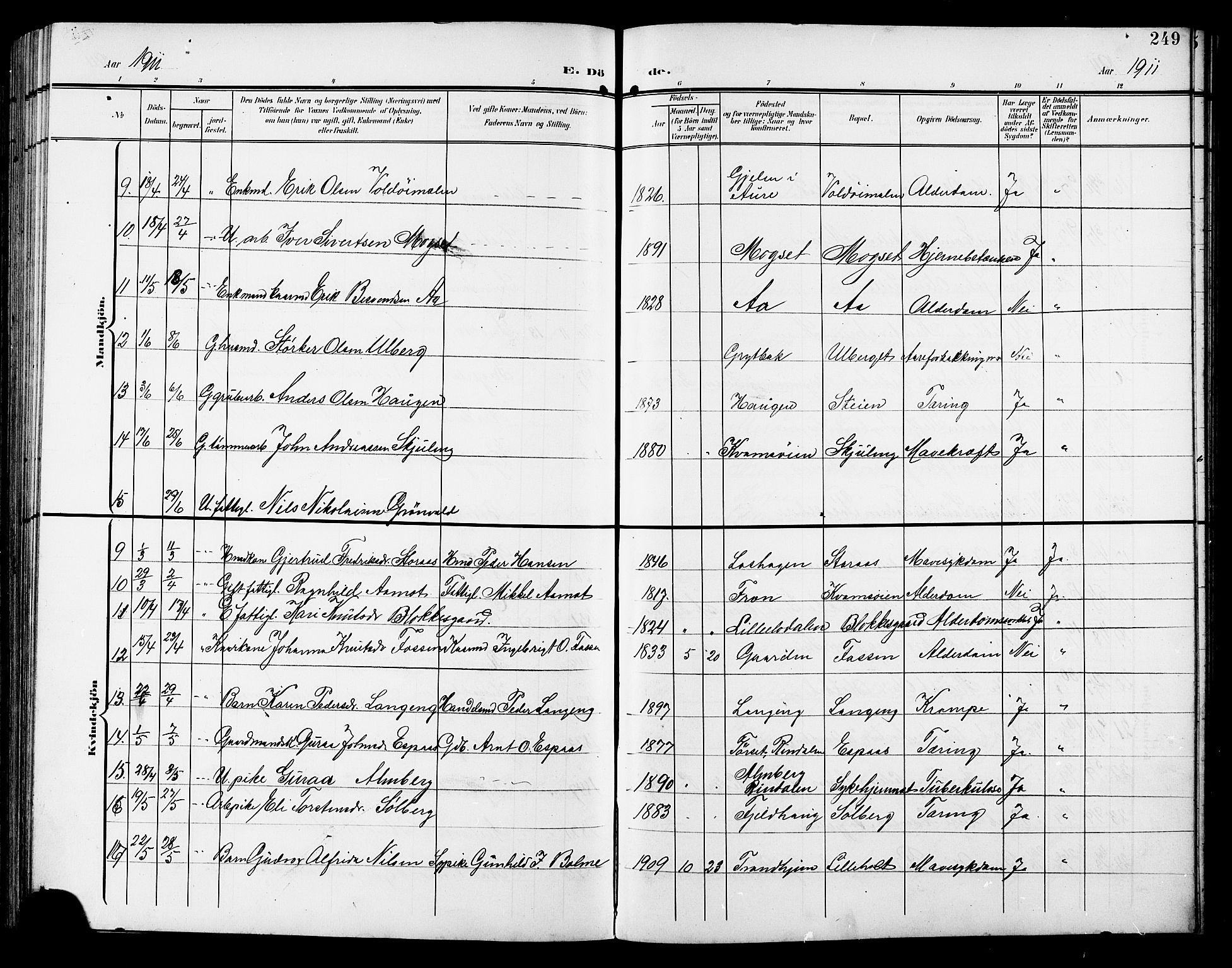 Ministerialprotokoller, klokkerbøker og fødselsregistre - Sør-Trøndelag, AV/SAT-A-1456/672/L0864: Parish register (copy) no. 672C03, 1902-1914, p. 249