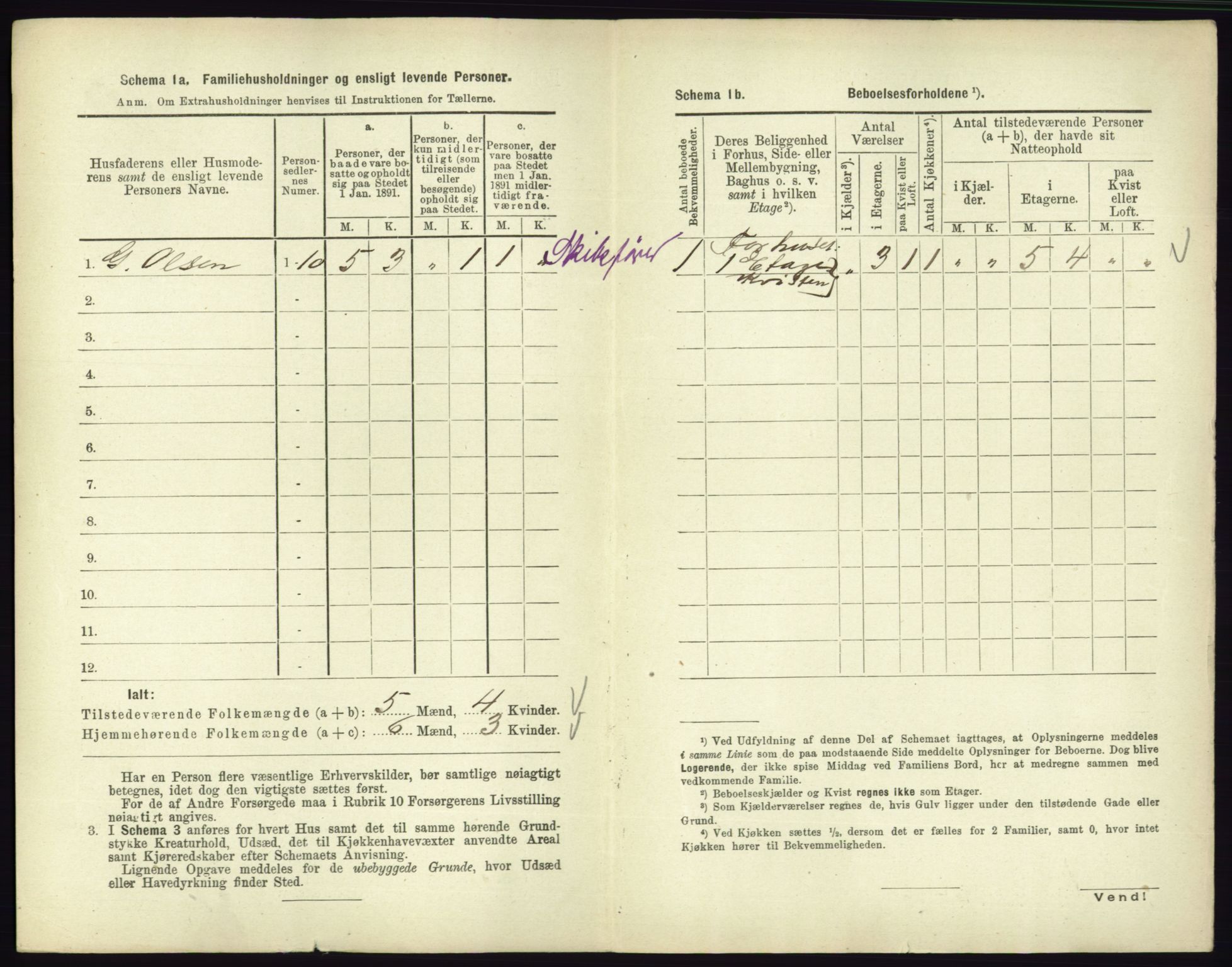 RA, 1891 census for 0701 Svelvik, 1891, p. 371