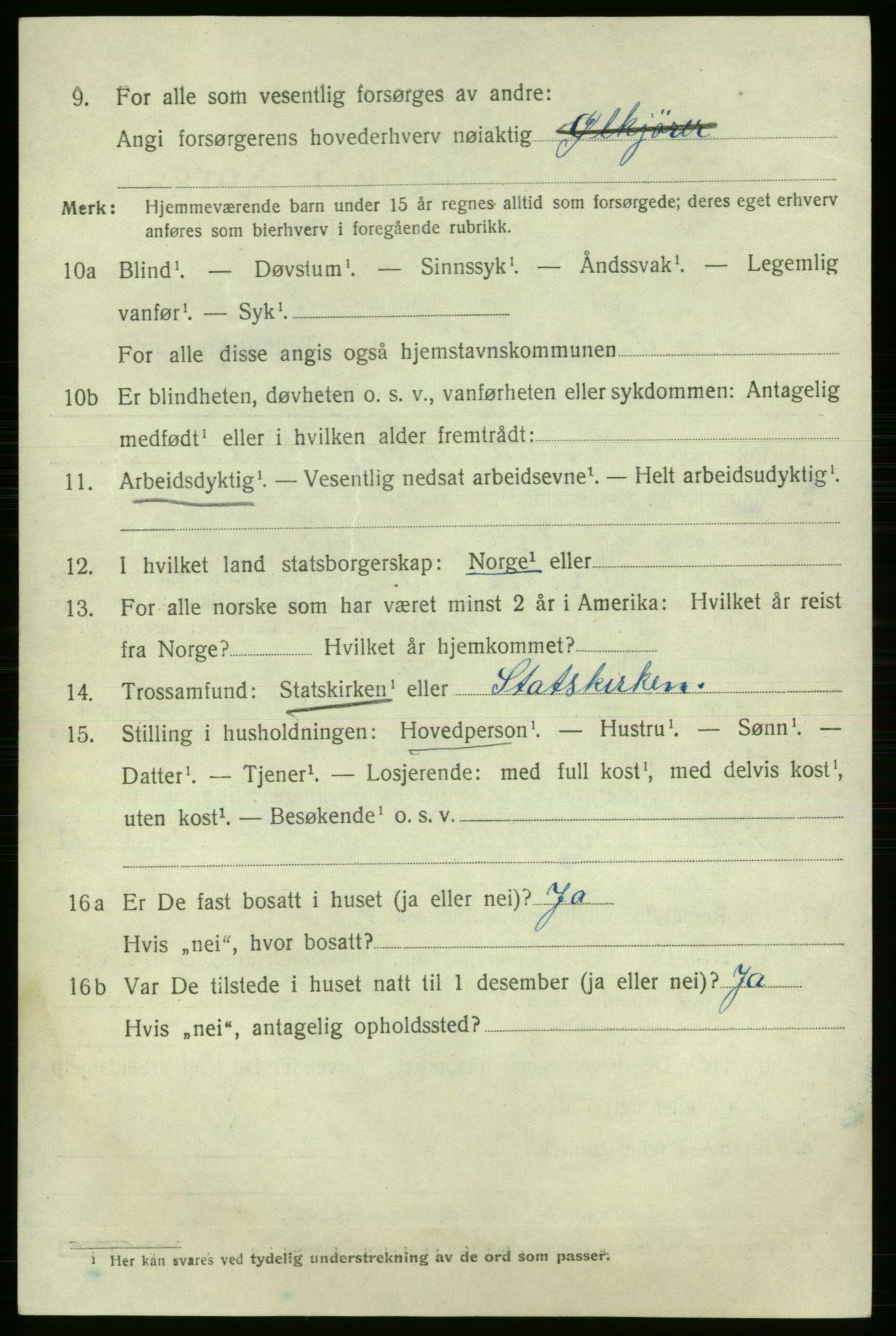 SAO, 1920 census for Fredrikshald, 1920, p. 17036