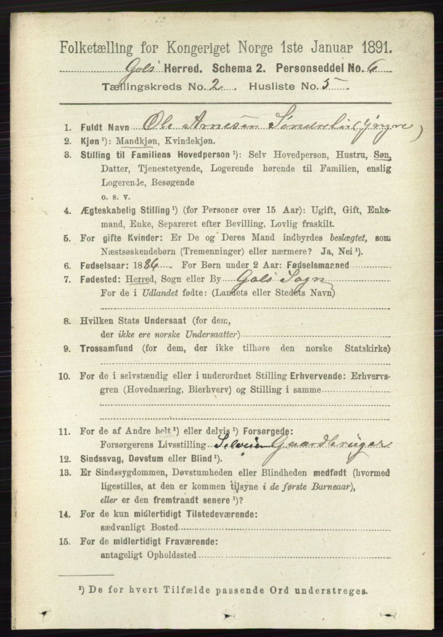 RA, 1891 census for 0617 Gol og Hemsedal, 1891, p. 741