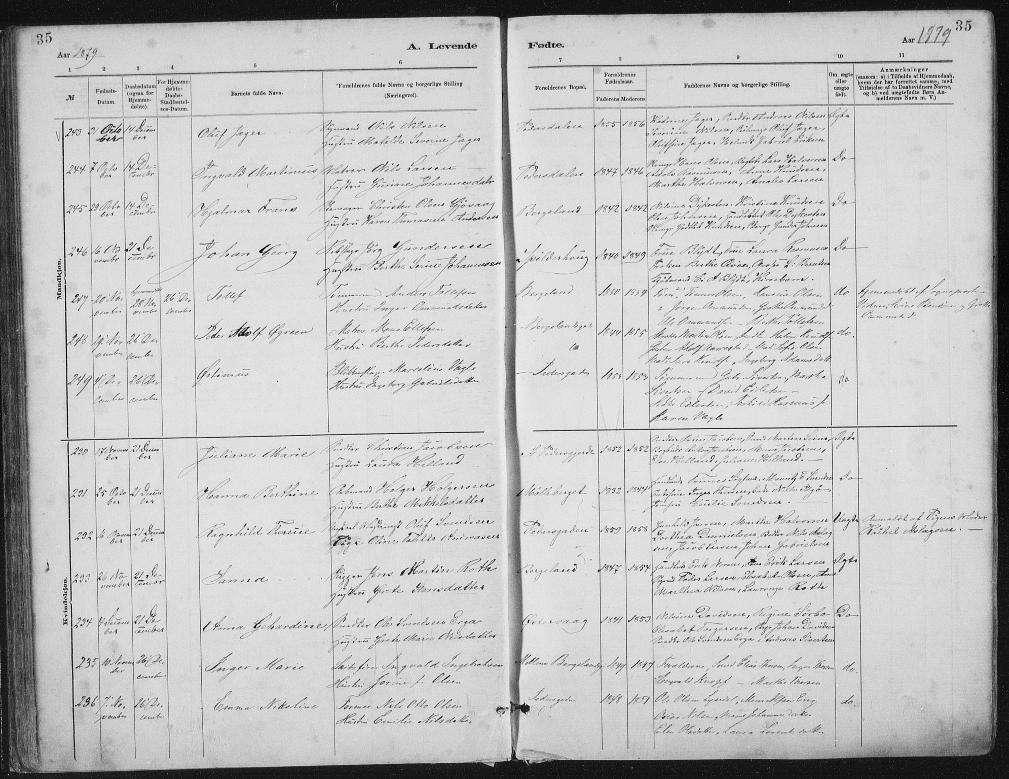 St. Petri sokneprestkontor, AV/SAST-A-101813/001/30/30BA/L0015: Parish register (official) no. A 15, 1879-1888, p. 35