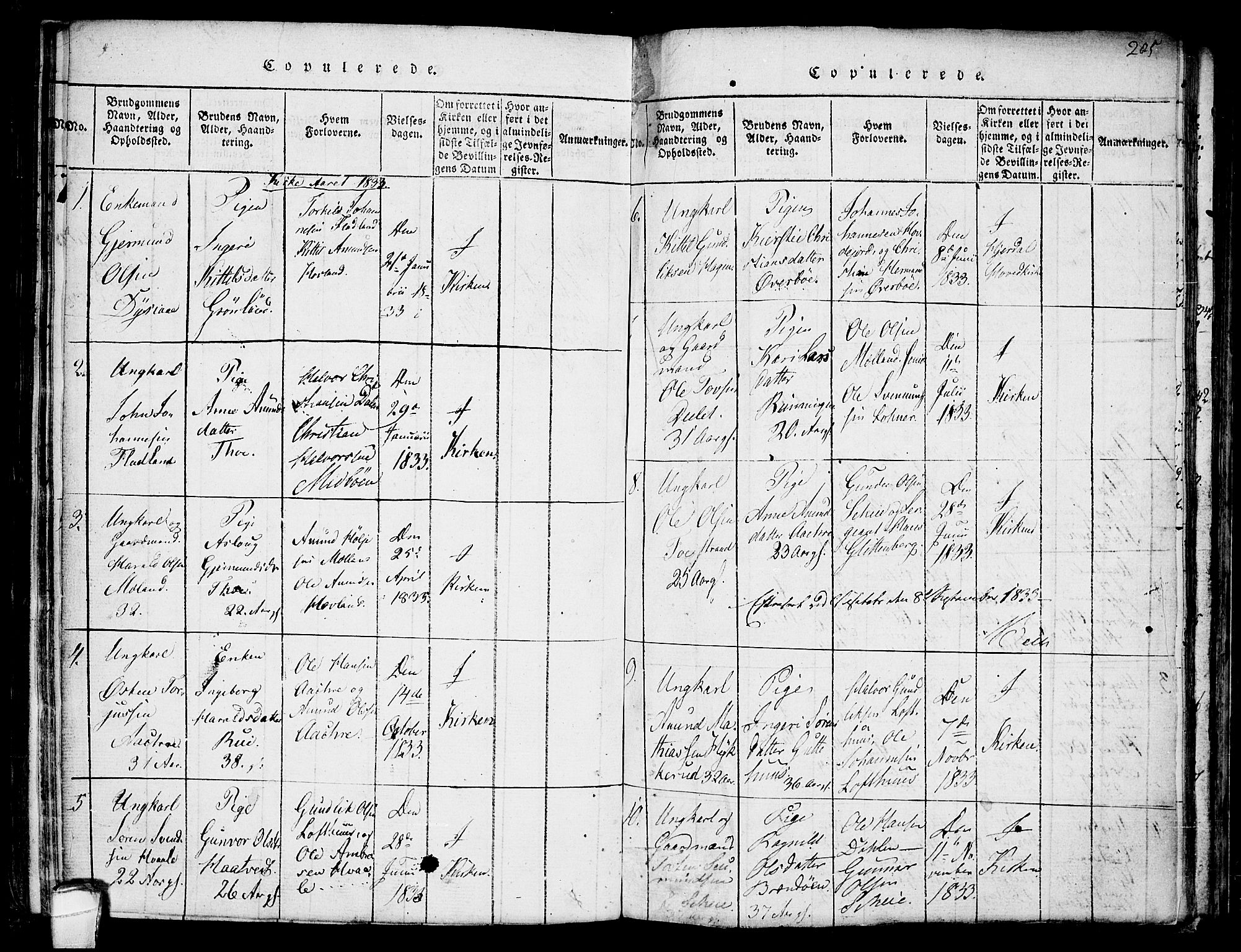 Hjartdal kirkebøker, SAKO/A-270/F/Fa/L0007: Parish register (official) no. I 7, 1815-1843, p. 205