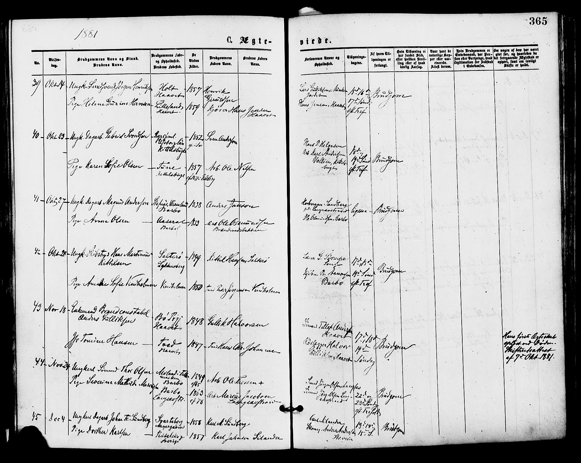 Barbu sokneprestkontor, AV/SAK-1111-0003/F/Fa/L0001: Parish register (official) no. A 1 /1, 1878-1883, p. 365