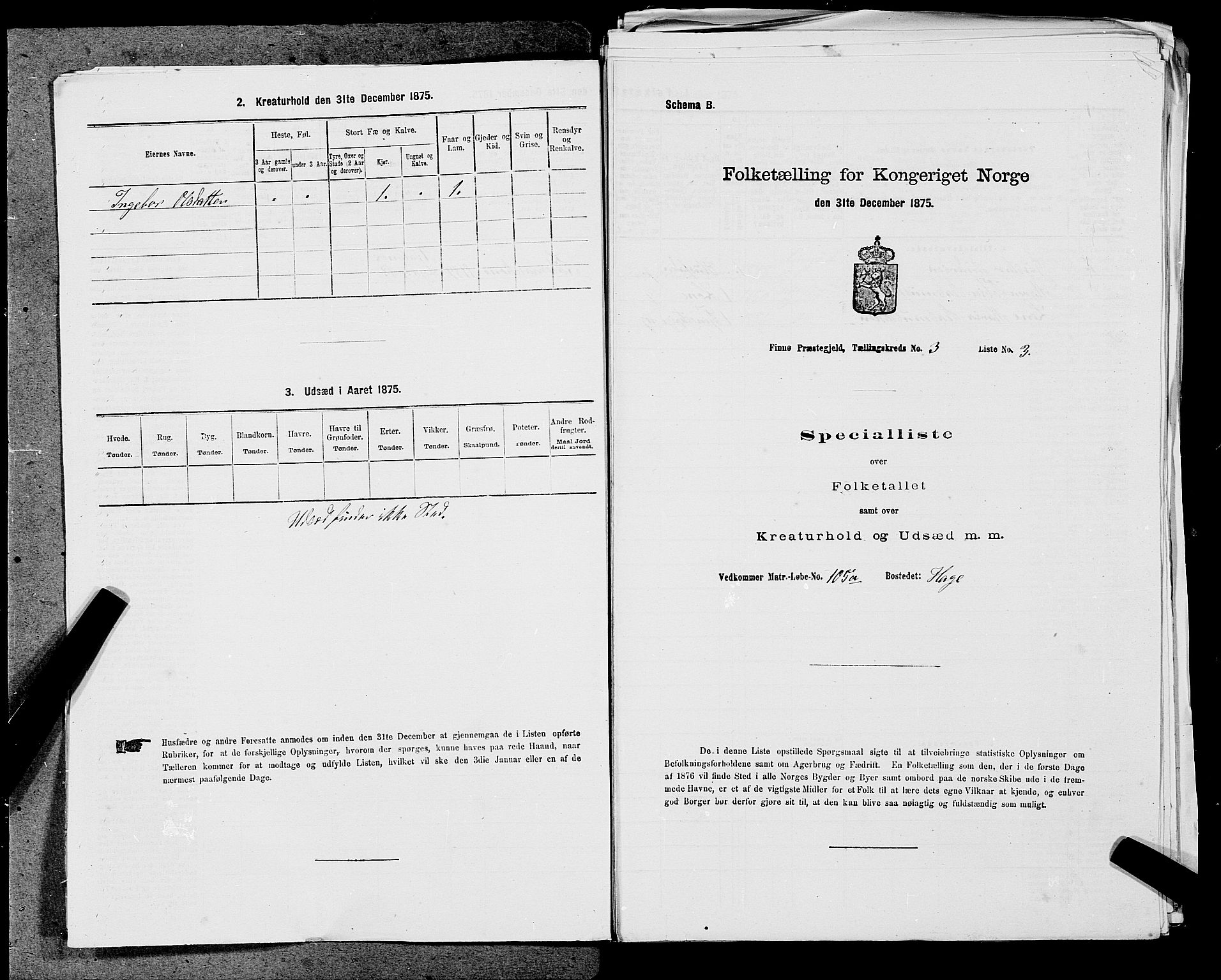 SAST, 1875 census for 1141P Finnøy, 1875, p. 260