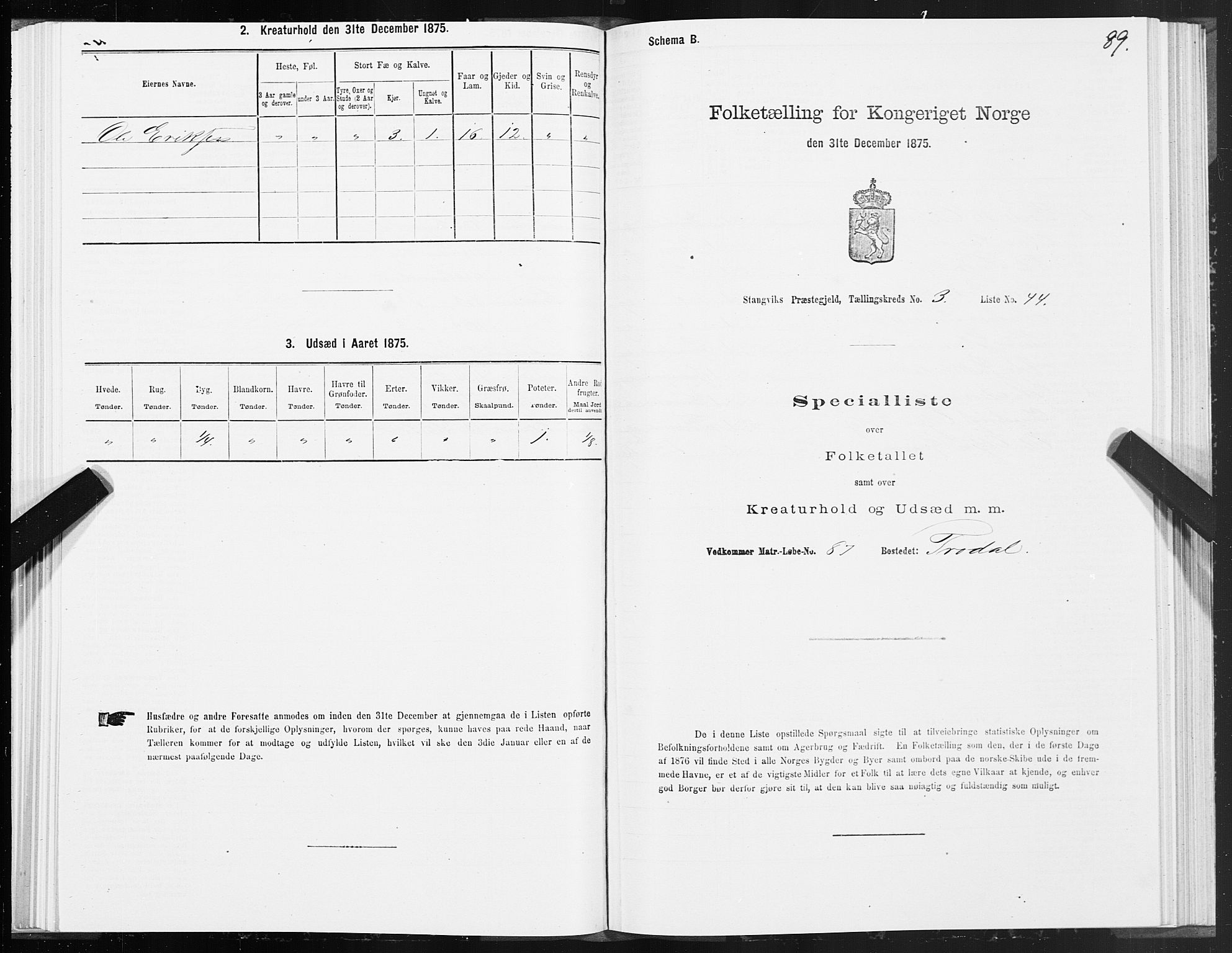 SAT, 1875 census for 1564P Stangvik, 1875, p. 2089