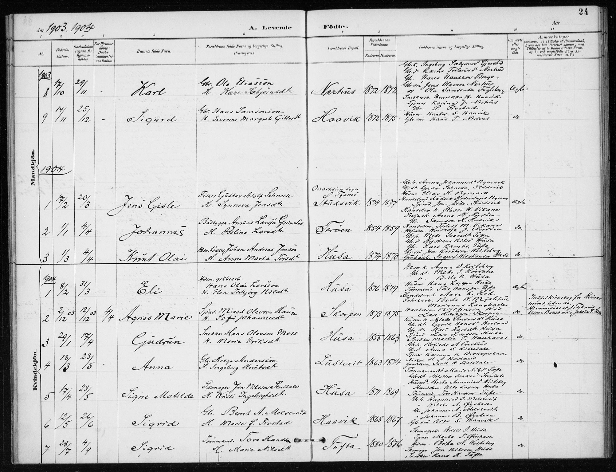 Kvinnherad sokneprestembete, AV/SAB-A-76401/H/Haa: Parish register (official) no. E 1, 1887-1912, p. 24