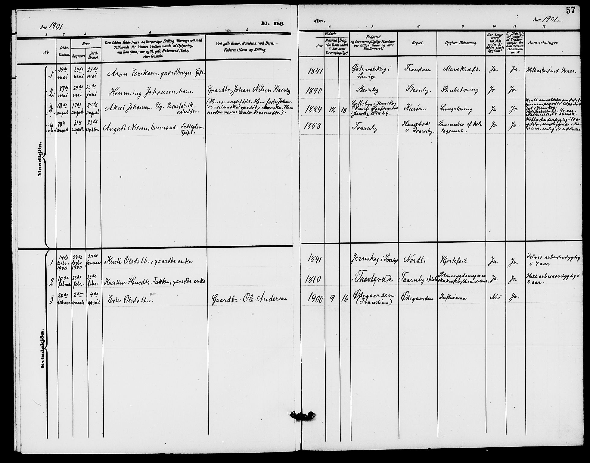 Rødenes prestekontor Kirkebøker, AV/SAO-A-2005/G/Gb/L0001: Parish register (copy) no. II 1, 1901-1910, p. 57