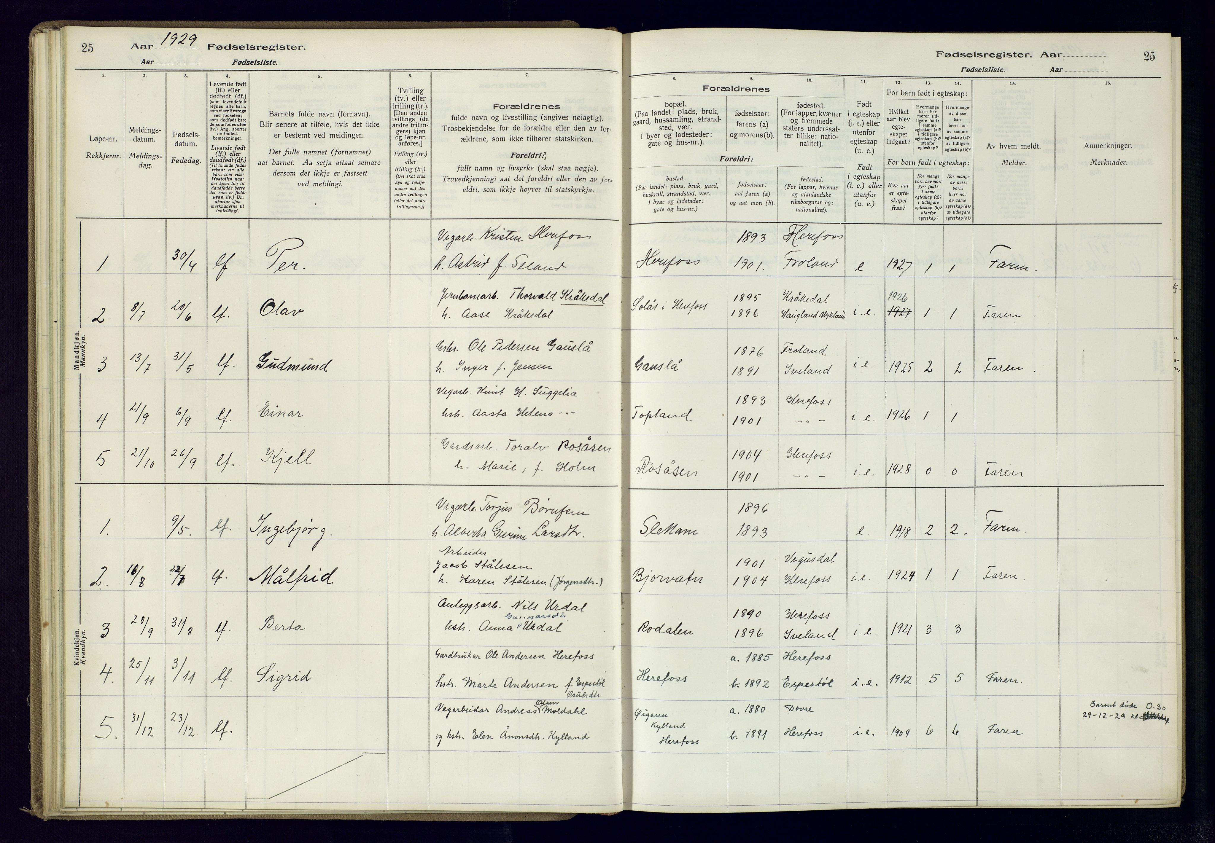 Herefoss sokneprestkontor, AV/SAK-1111-0019/J/Ja/L0001: Birth register no. II.6.10, 1916-1982, p. 25