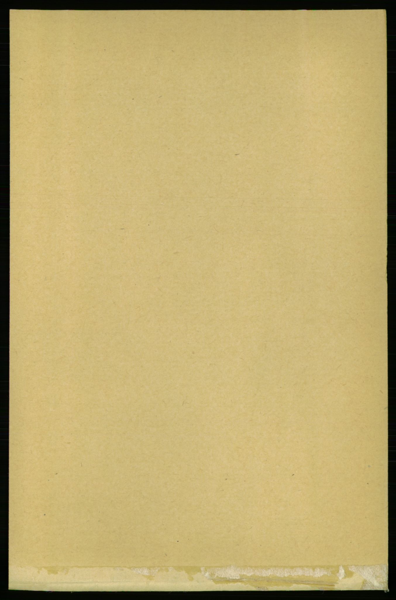 RA, 1891 census for 1658 Børsa, 1891, p. 2365