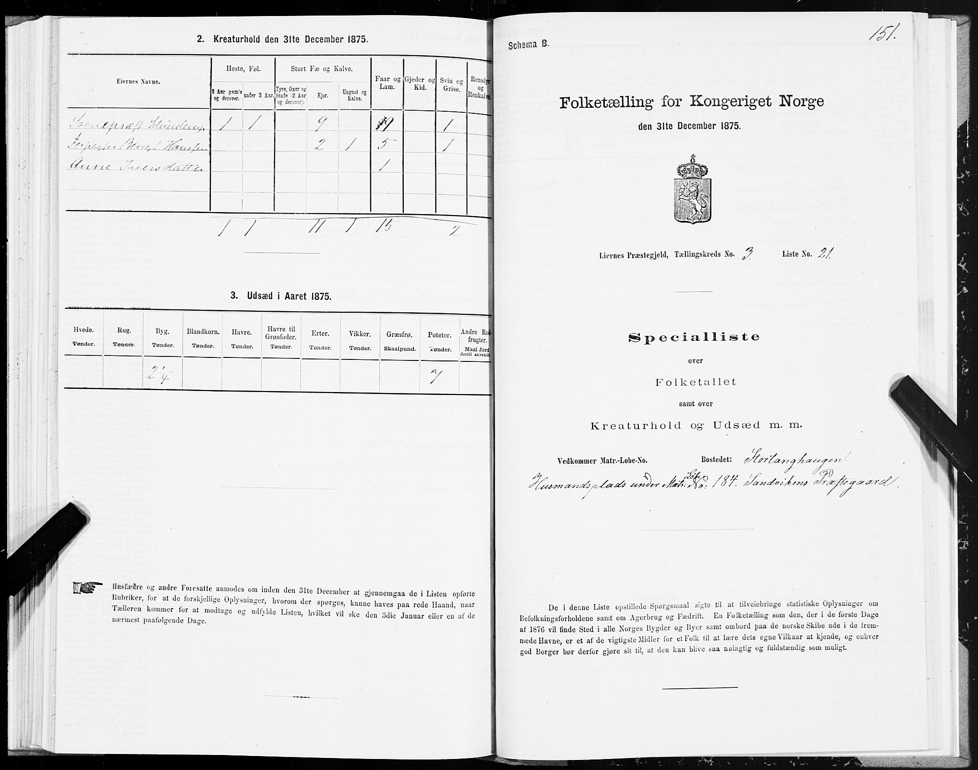 SAT, 1875 census for 1737P Lierne, 1875, p. 1151