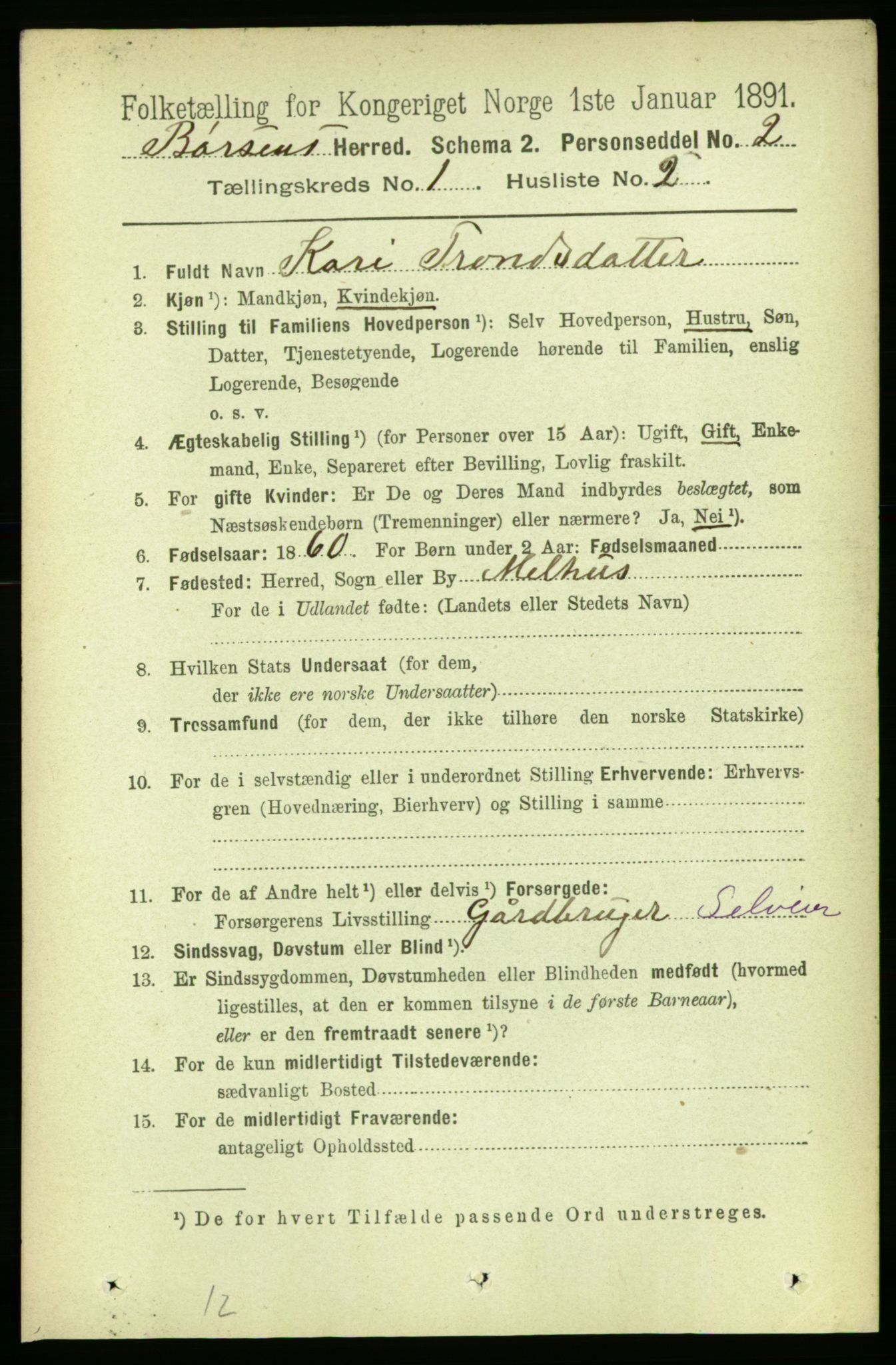 RA, 1891 census for 1658 Børsa, 1891, p. 98