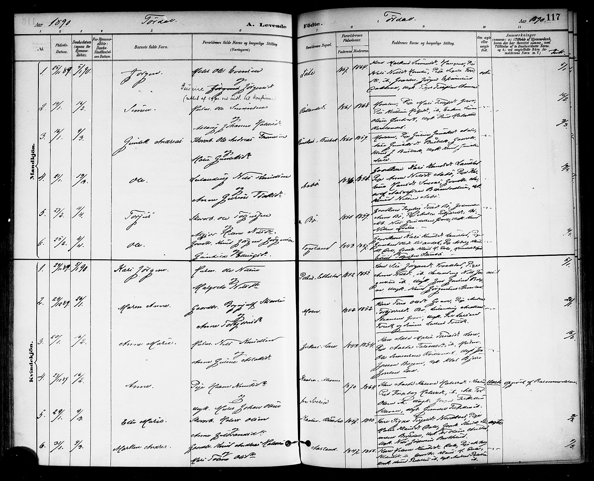 Drangedal kirkebøker, SAKO/A-258/F/Fa/L0010: Parish register (official) no. 10 /2, 1885-1894, p. 117