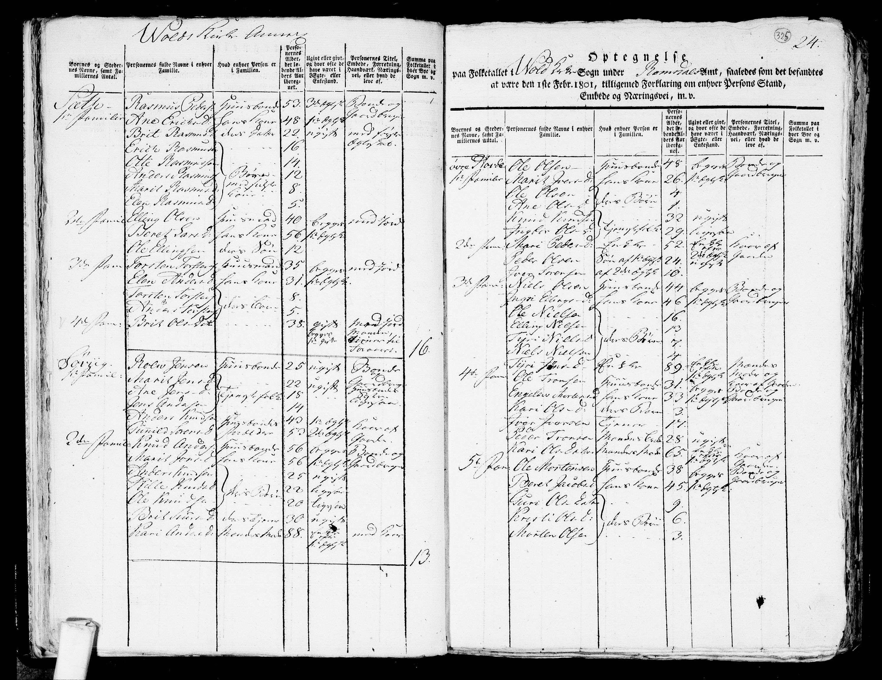 RA, 1801 census for 1539P Grytten, 1801, p. 324b-325a