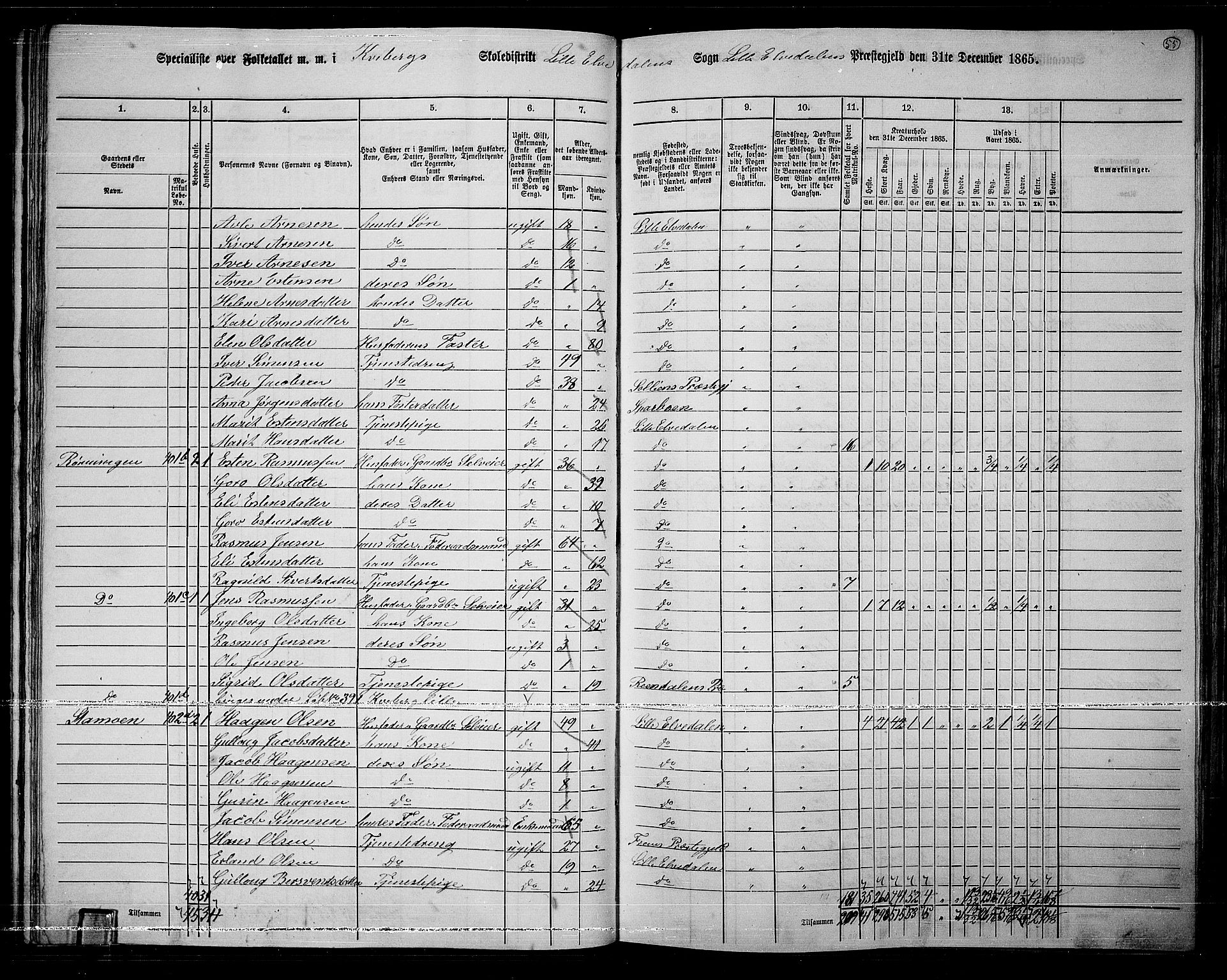 RA, 1865 census for Lille Elvedalen, 1865, p. 50