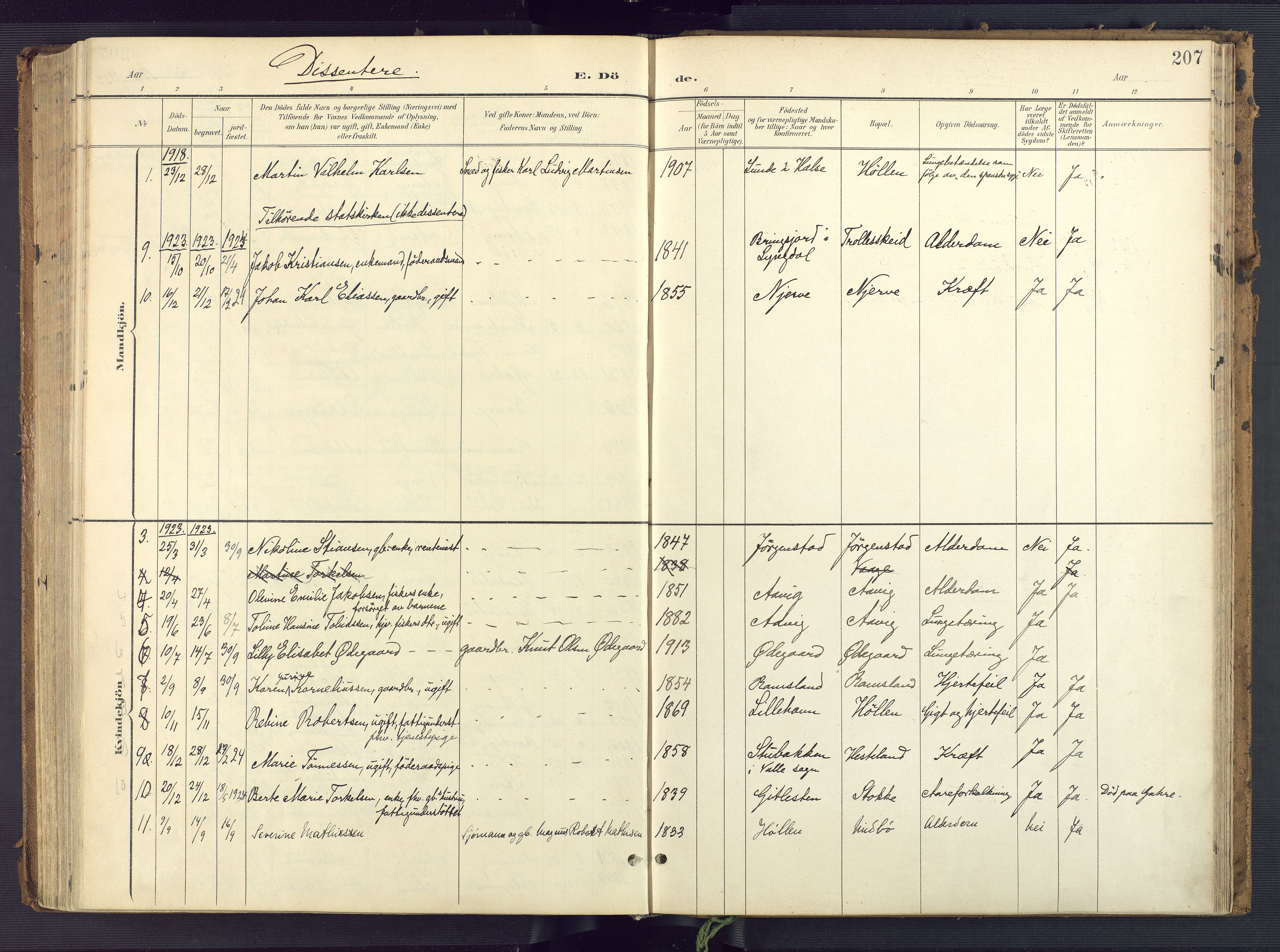 Sør-Audnedal sokneprestkontor, AV/SAK-1111-0039/F/Fa/Faa/L0005: Parish register (official) no. A 5, 1900-1923, p. 207