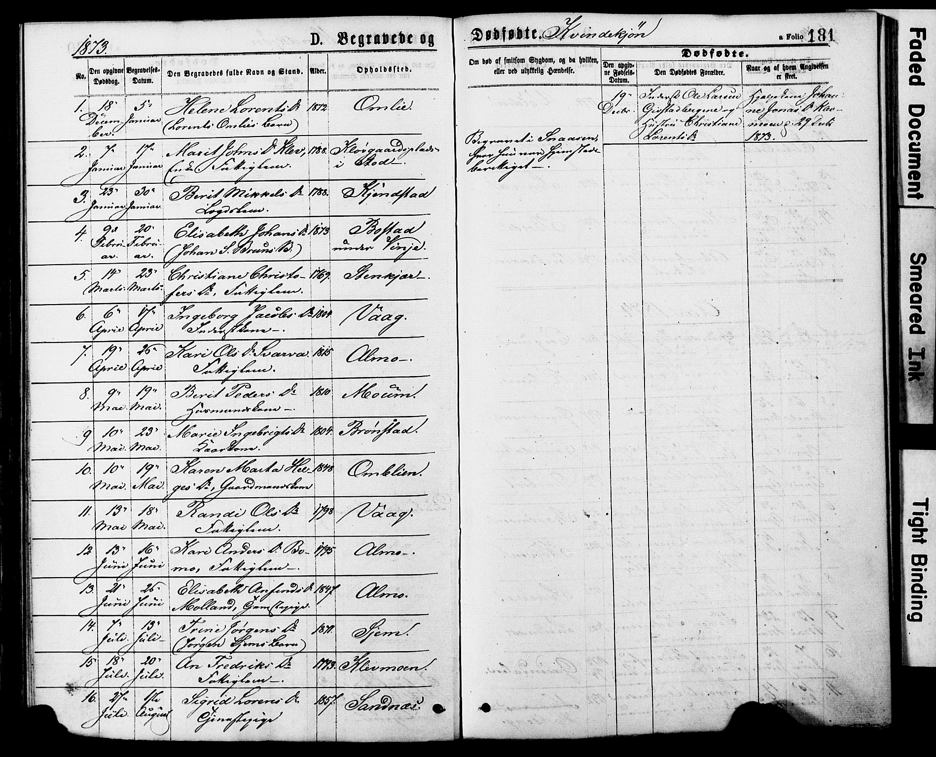 Ministerialprotokoller, klokkerbøker og fødselsregistre - Nord-Trøndelag, SAT/A-1458/749/L0473: Parish register (official) no. 749A07, 1873-1887, p. 181