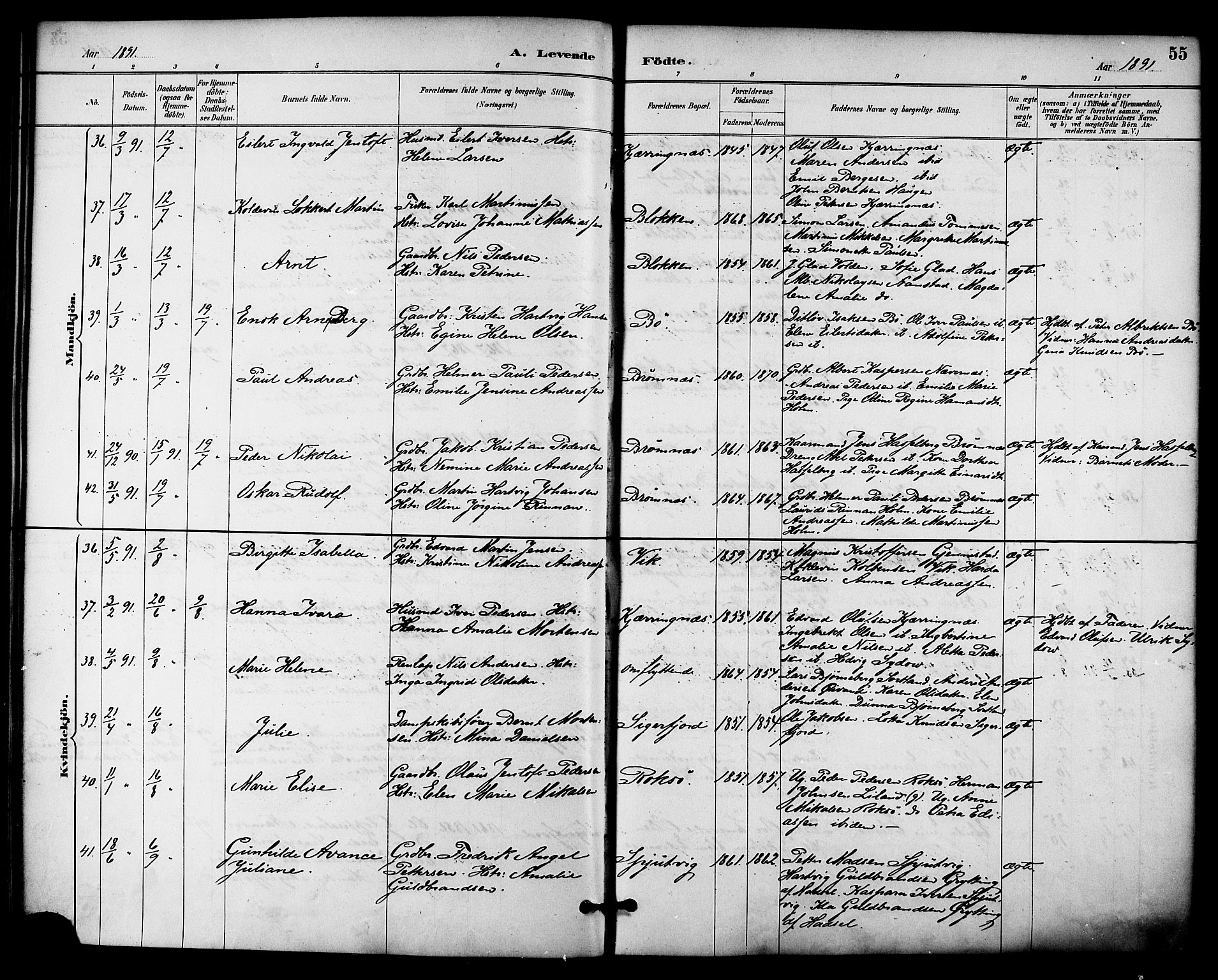 Ministerialprotokoller, klokkerbøker og fødselsregistre - Nordland, AV/SAT-A-1459/895/L1371: Parish register (official) no. 895A06, 1885-1894, p. 55