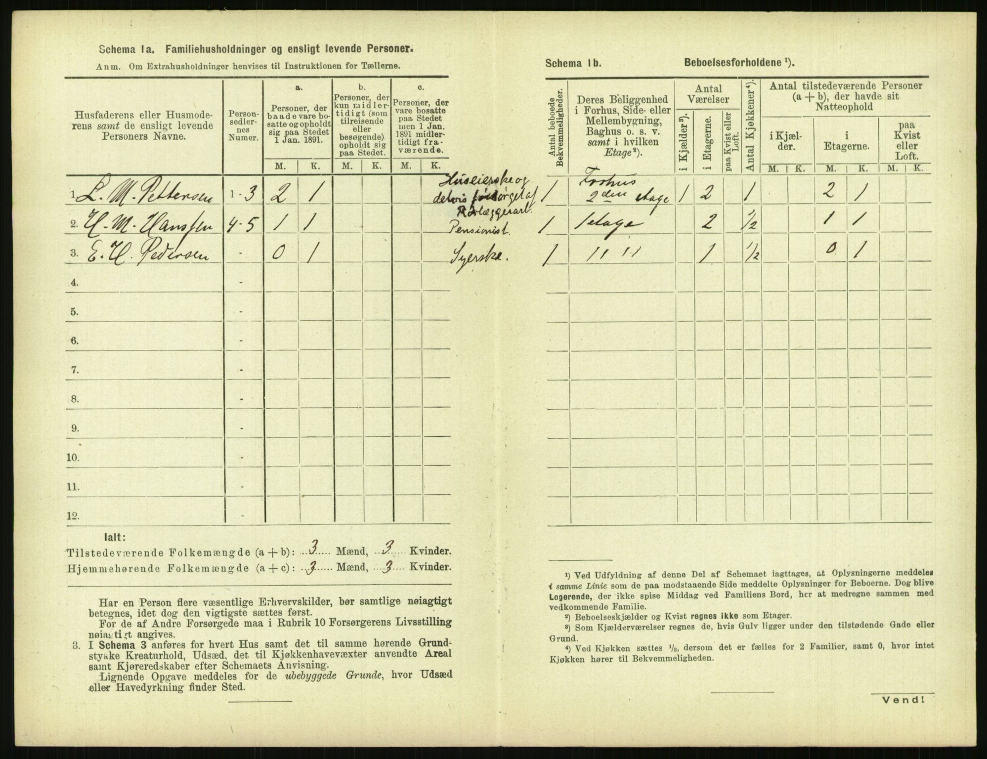 RA, 1891 census for 0806 Skien, 1891, p. 1465