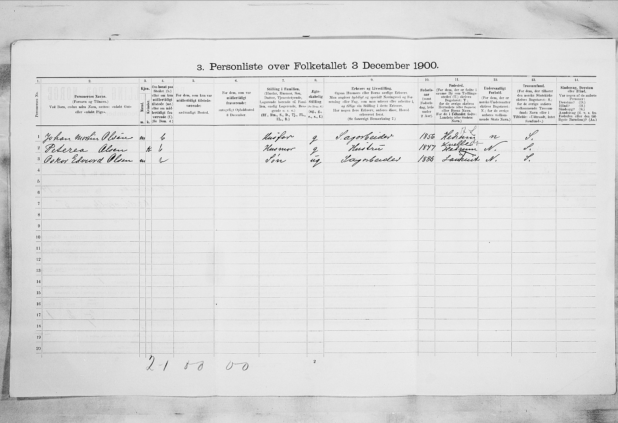 RA, 1900 census for Larvik, 1900, p. 1325
