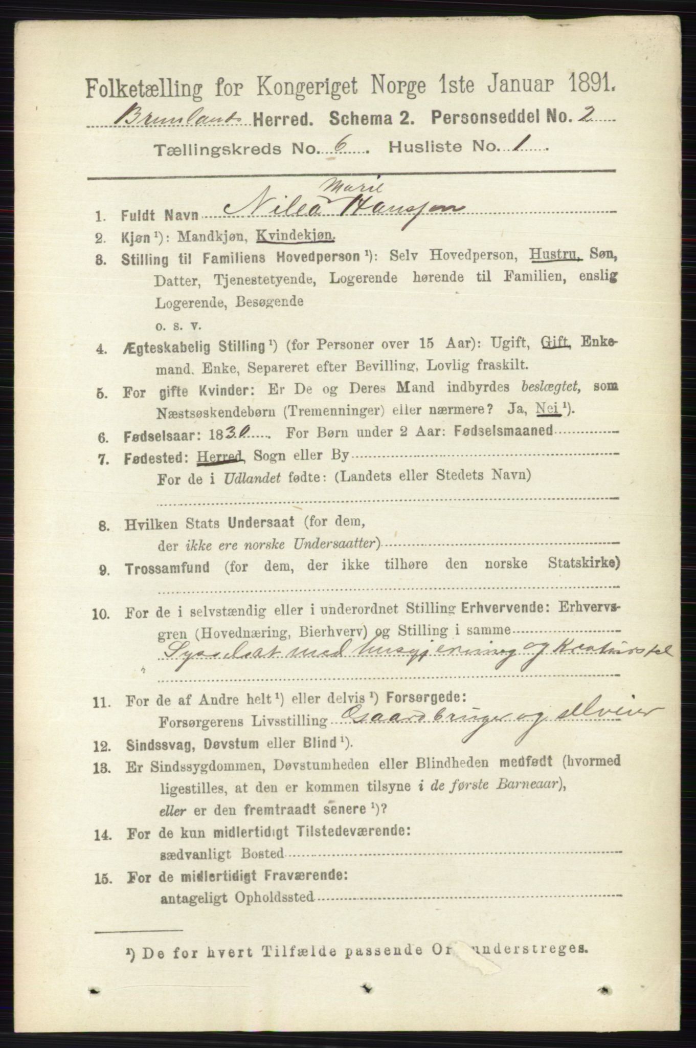 RA, 1891 census for 0726 Brunlanes, 1891, p. 2628