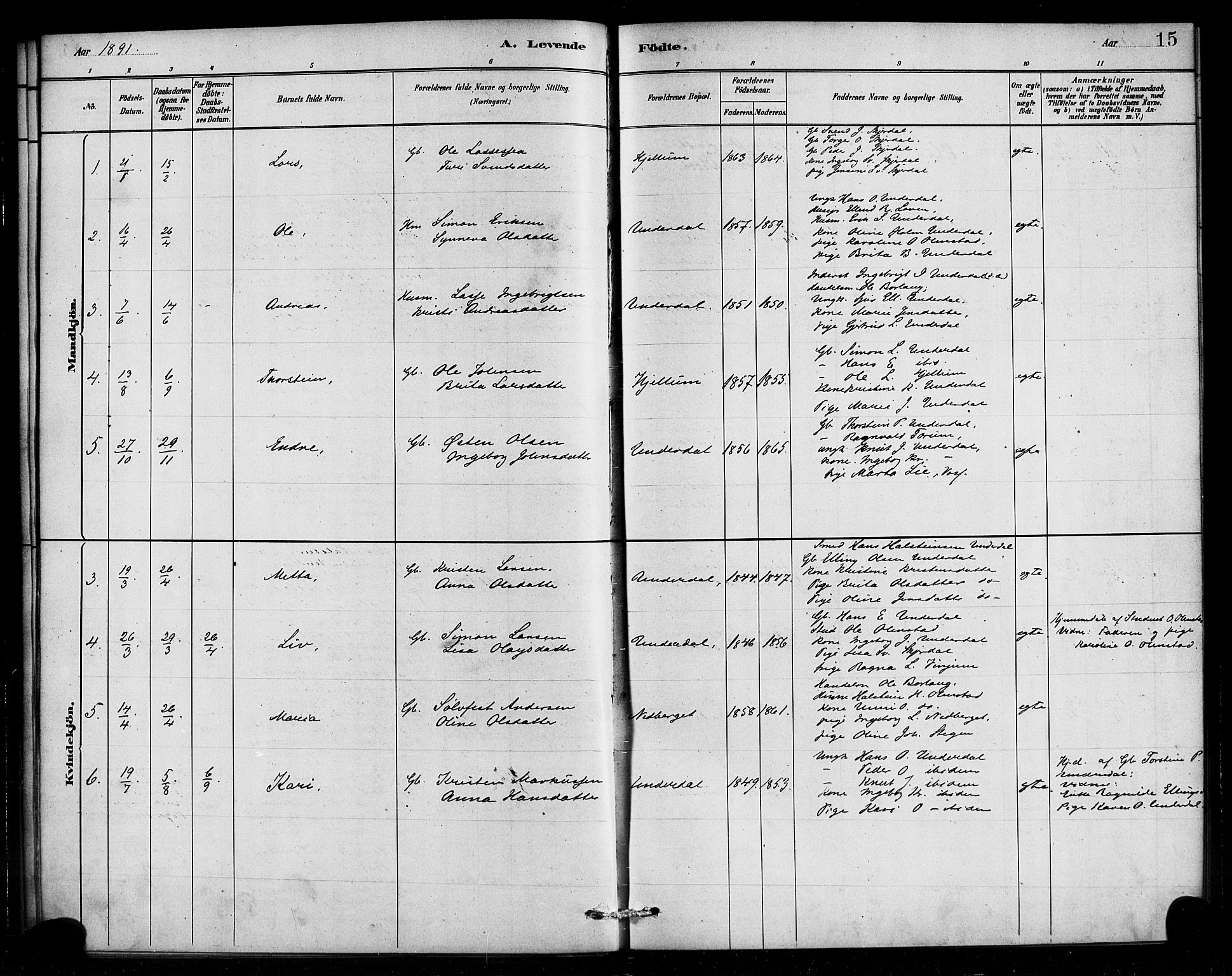 Aurland sokneprestembete, SAB/A-99937/H/Ha/Hae/L0001: Parish register (official) no. E 1, 1880-1907, p. 15