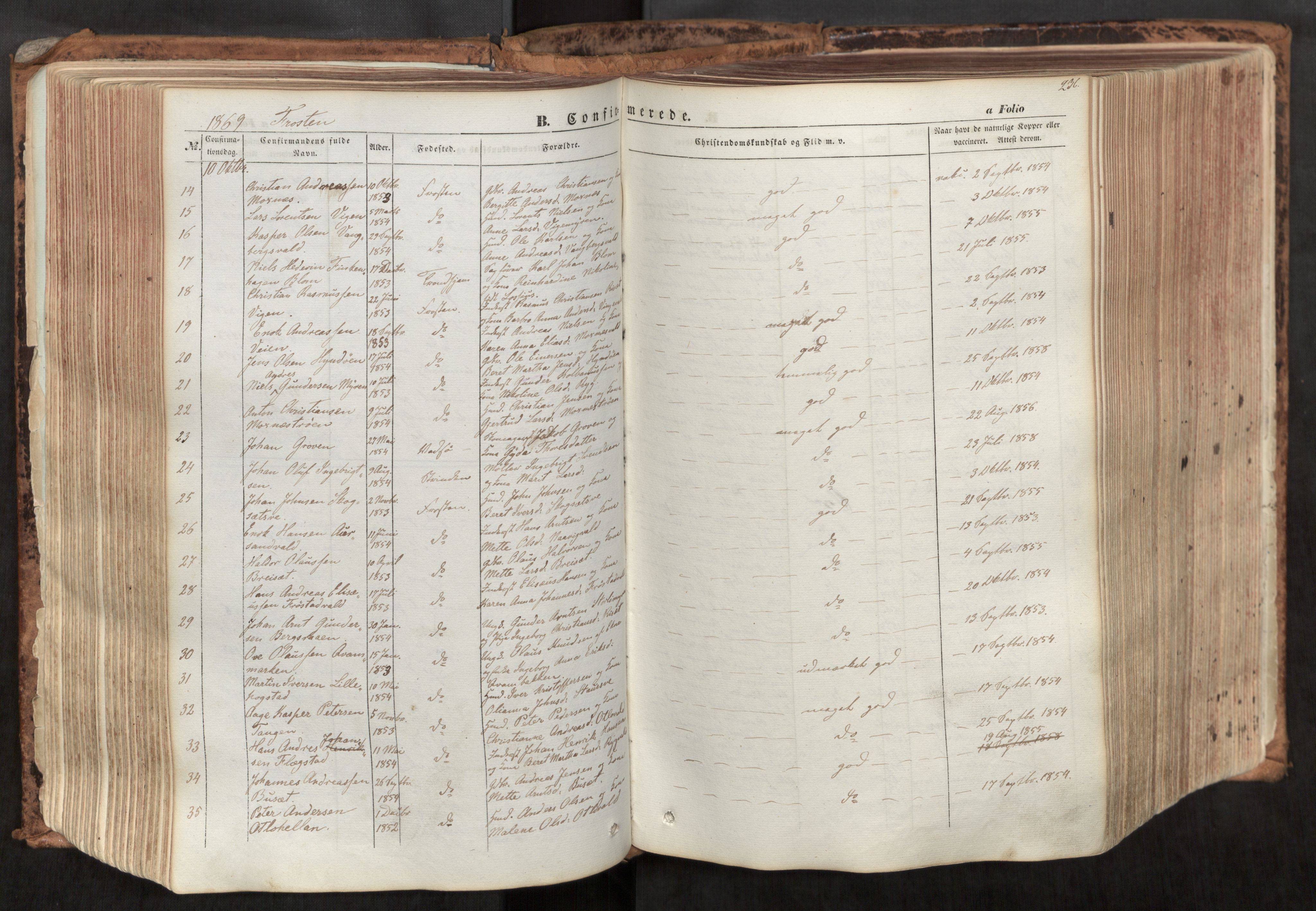 Ministerialprotokoller, klokkerbøker og fødselsregistre - Nord-Trøndelag, AV/SAT-A-1458/713/L0116: Parish register (official) no. 713A07, 1850-1877, p. 236