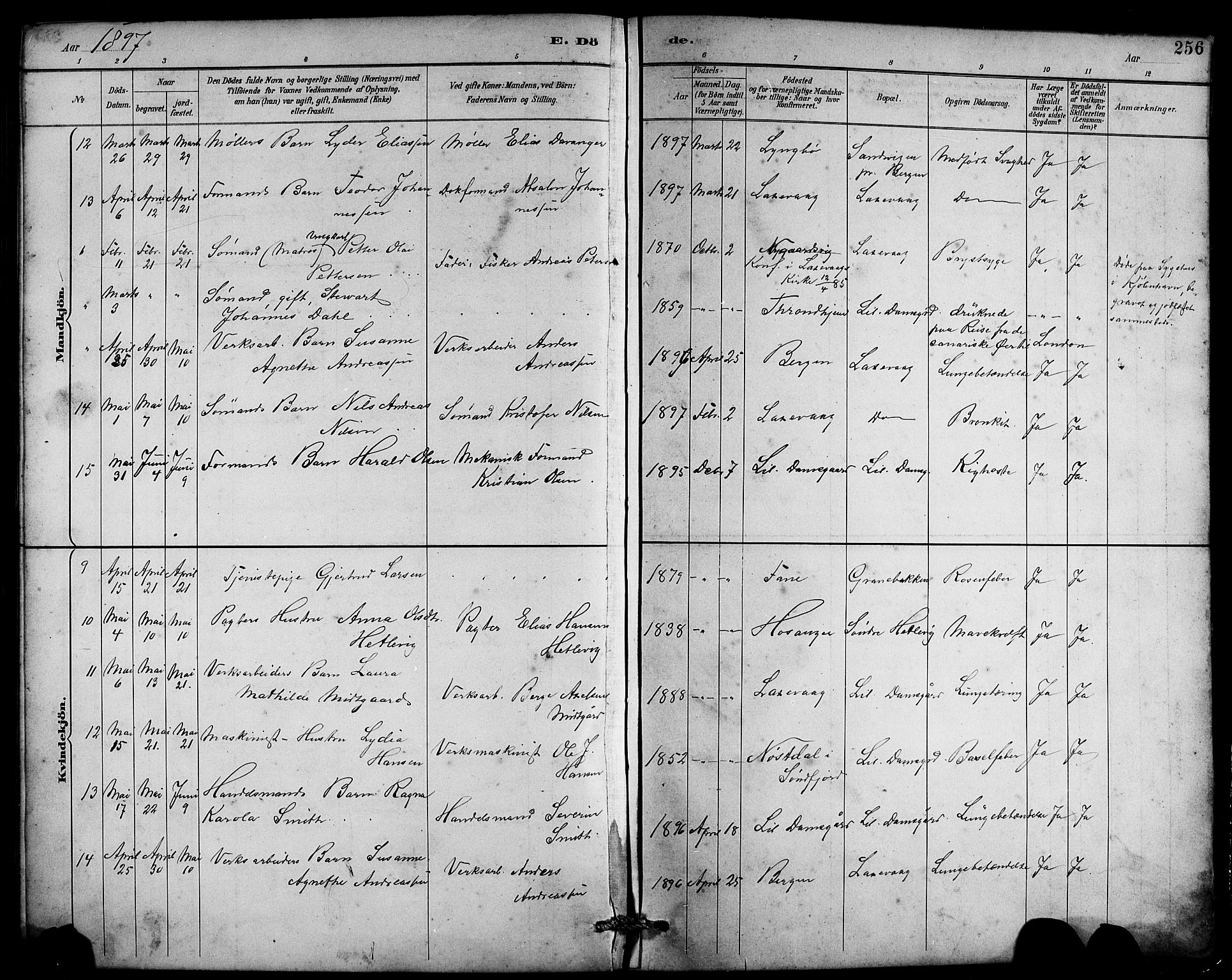 Laksevåg Sokneprestembete, SAB/A-76501/H/Ha/Hab/Haba/L0003: Parish register (copy) no. A 3, 1887-1899, p. 256