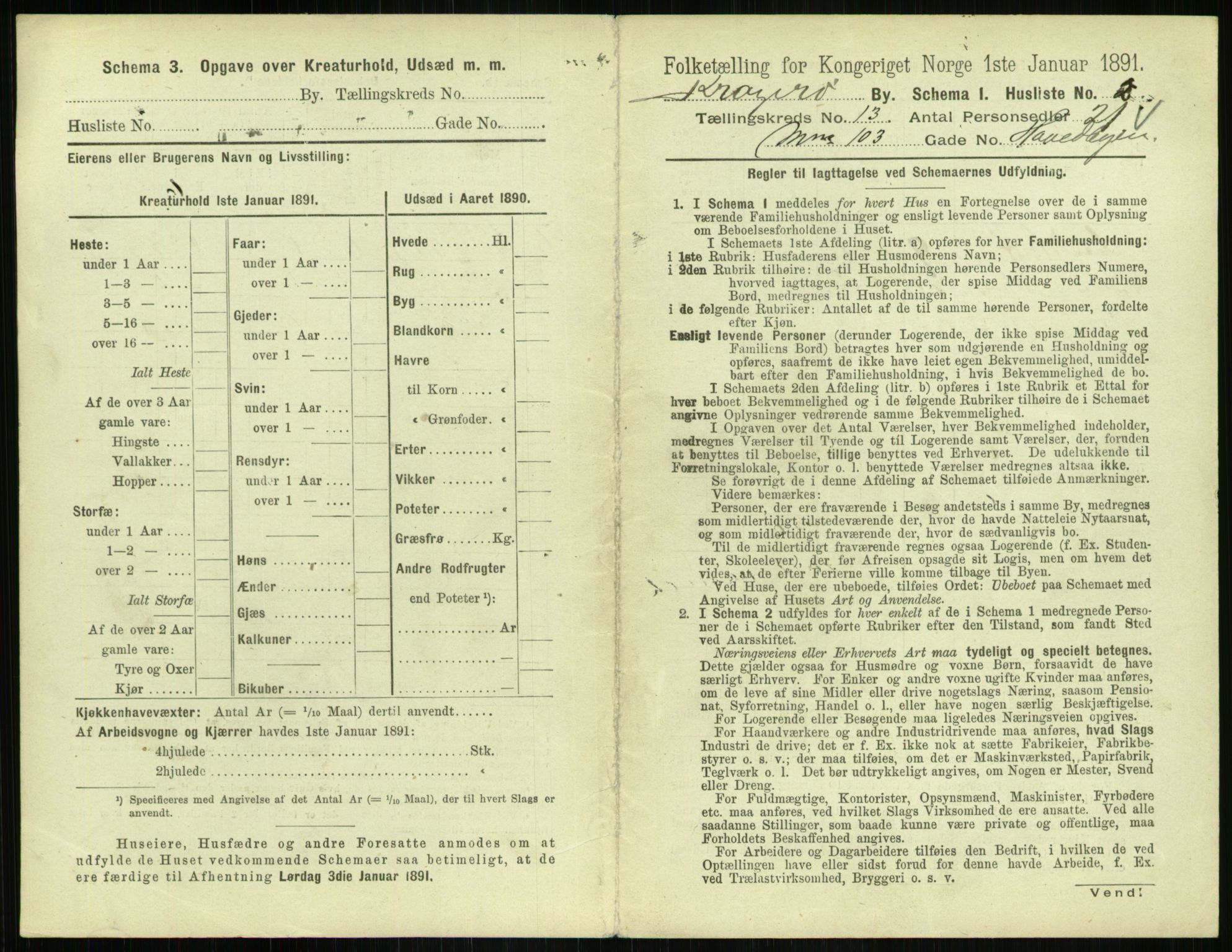 RA, 1891 census for 0801 Kragerø, 1891, p. 654