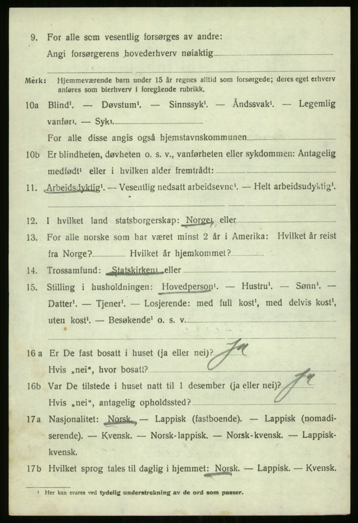 SATØ, 1920 census for Nordreisa, 1920, p. 3956