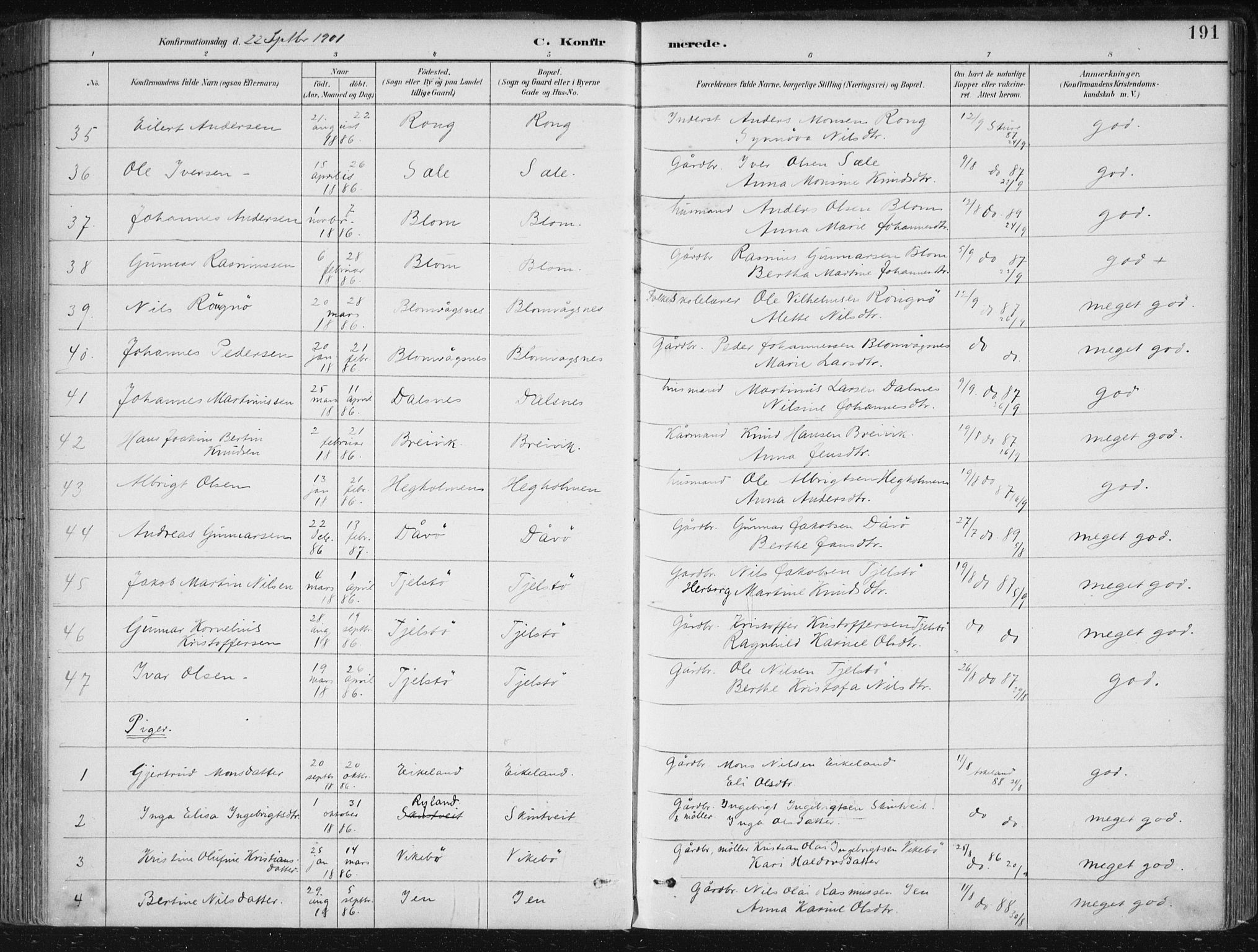 Herdla Sokneprestembete, AV/SAB-A-75701/H/Haa: Parish register (official) no. A 4, 1891-1905, p. 191