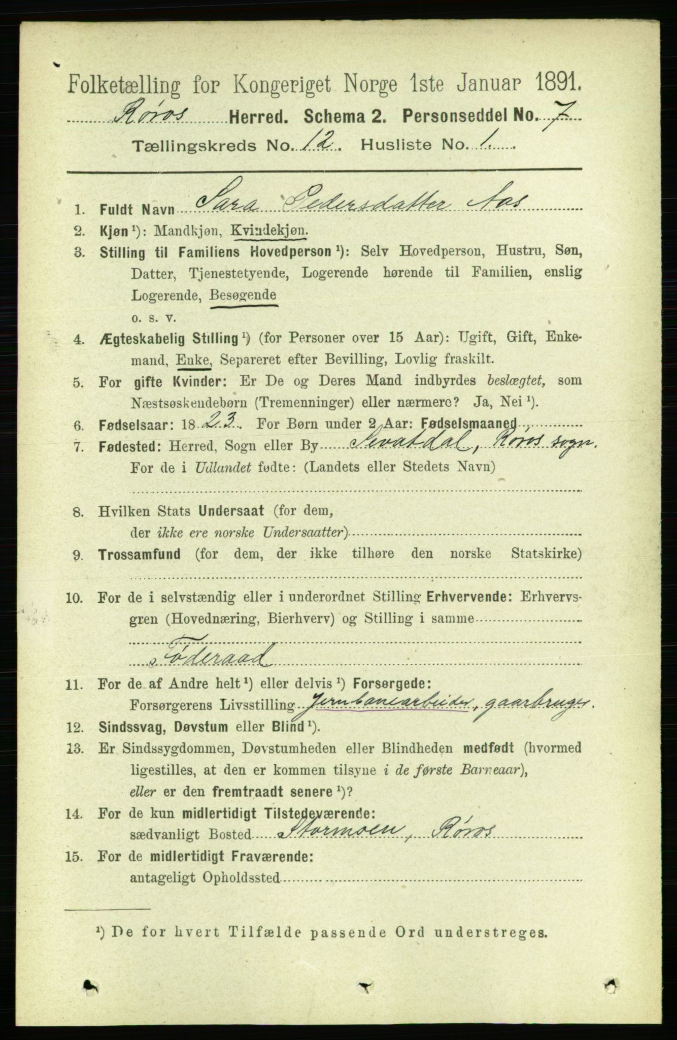 RA, 1891 census for 1640 Røros, 1891, p. 2375