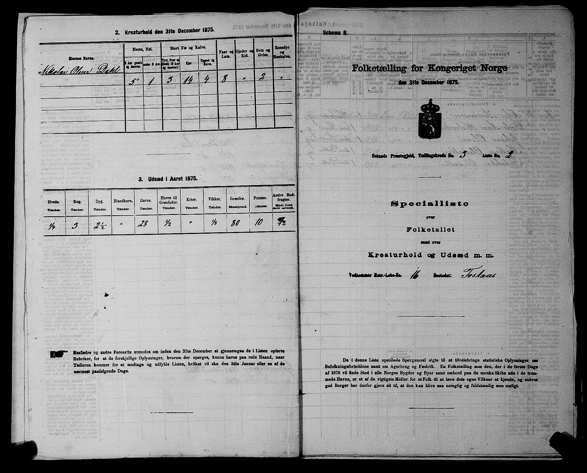 RA, 1875 census for 0221P Høland, 1875, p. 429