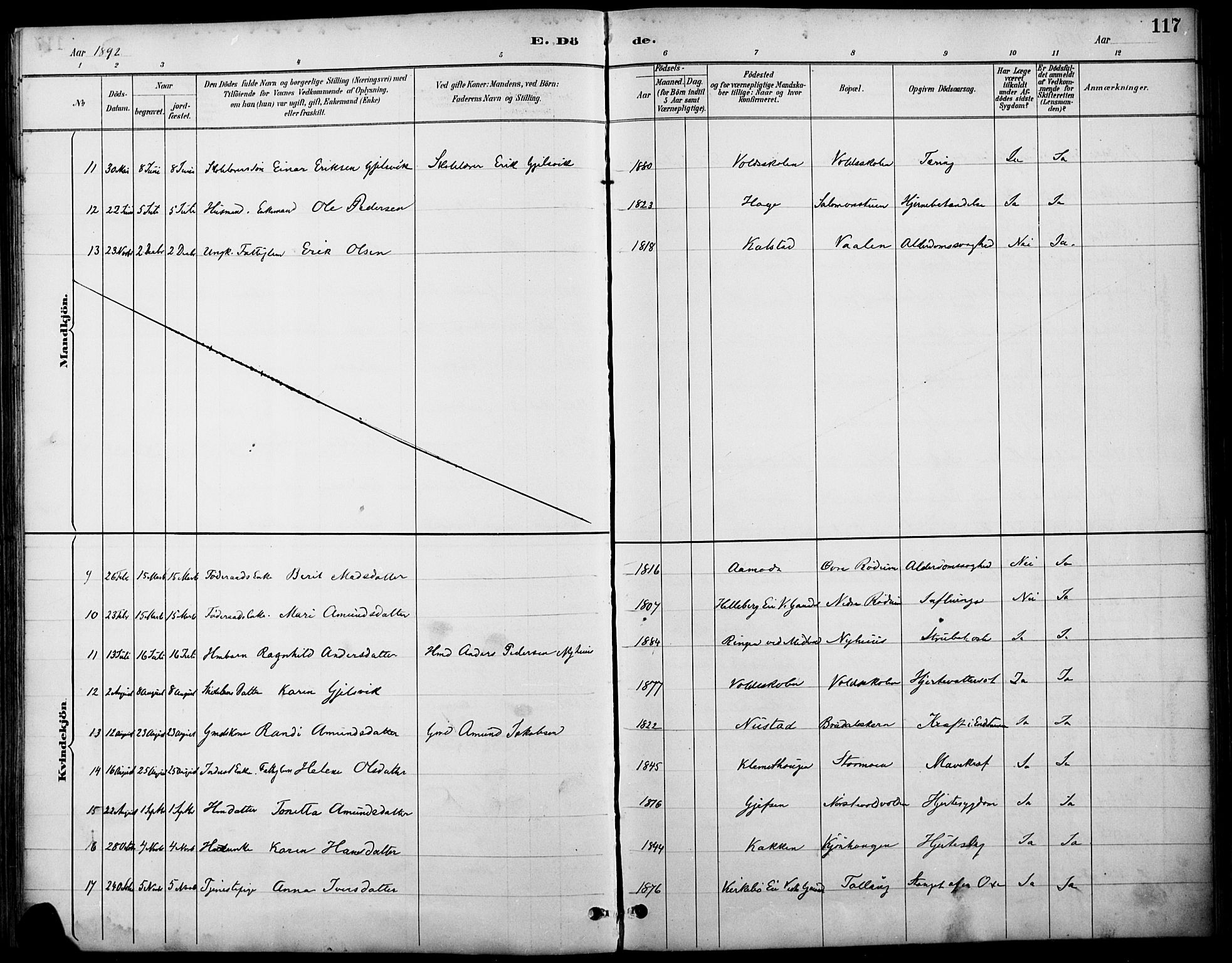 Østre Gausdal prestekontor, SAH/PREST-092/H/Ha/Haa/L0002: Parish register (official) no. 2, 1887-1897, p. 117