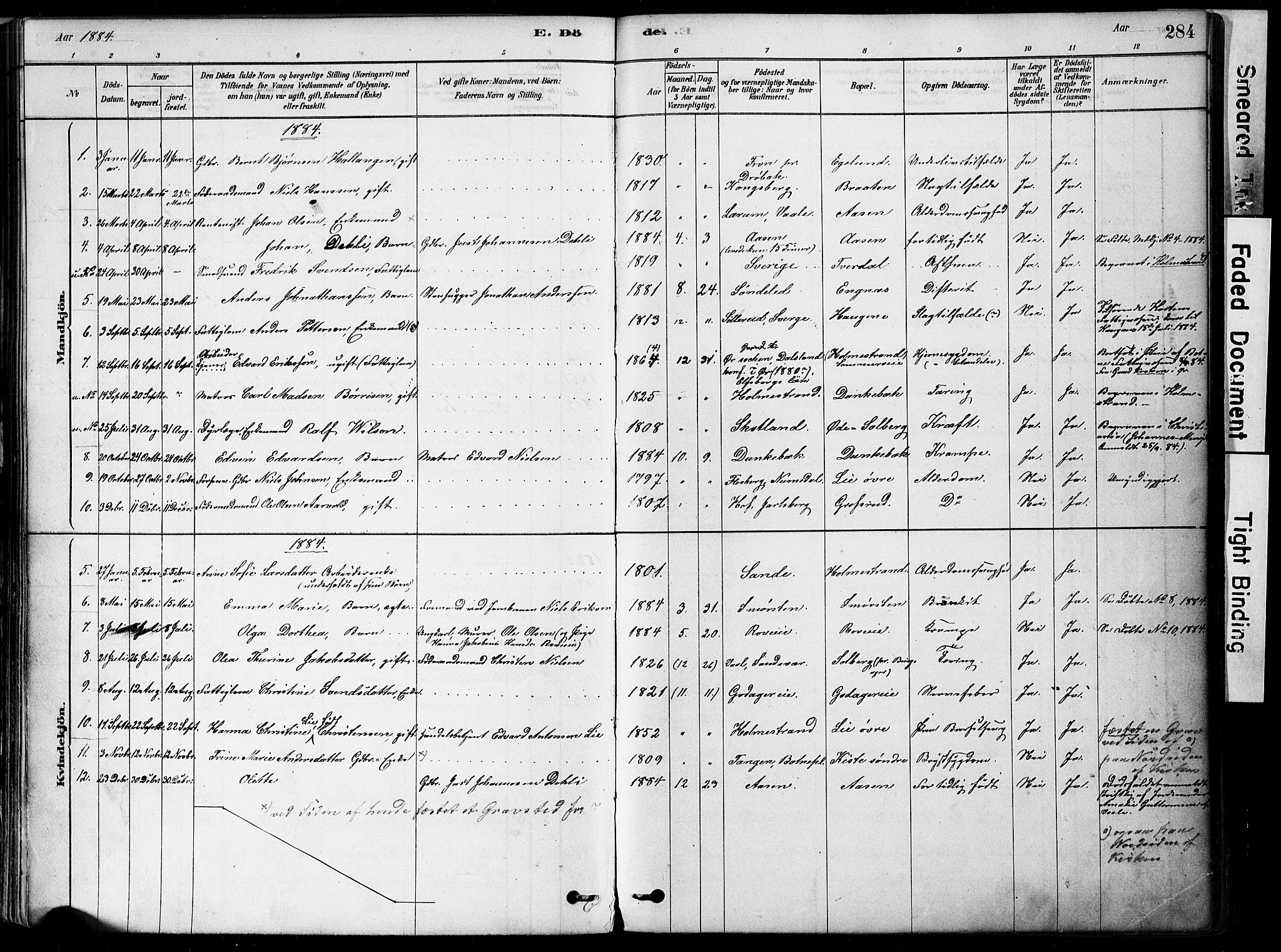 Botne kirkebøker, SAKO/A-340/F/Fa/L0007: Parish register (official) no. I 7, 1878-1910, p. 284