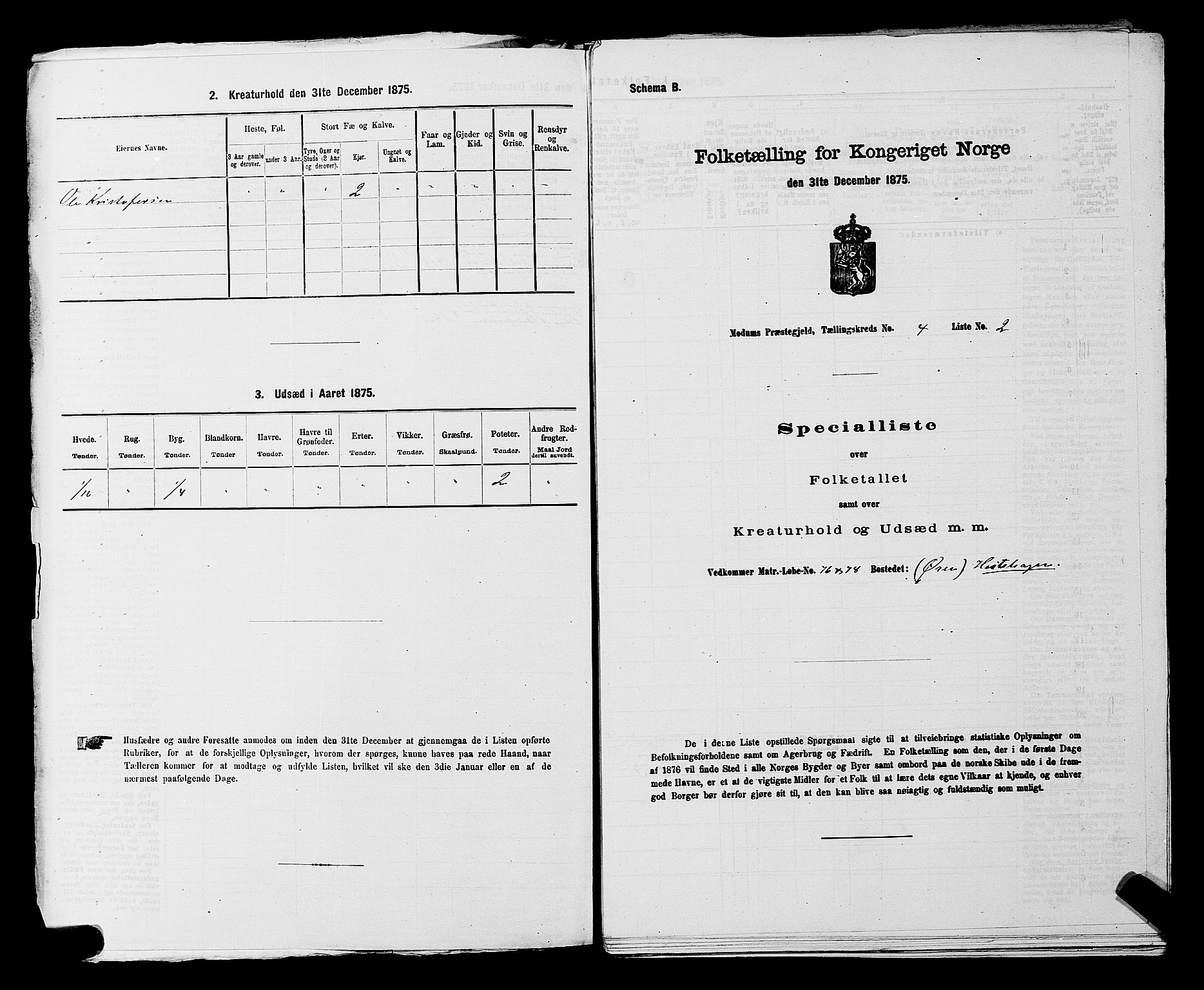 SAKO, 1875 census for 0623P Modum, 1875, p. 431