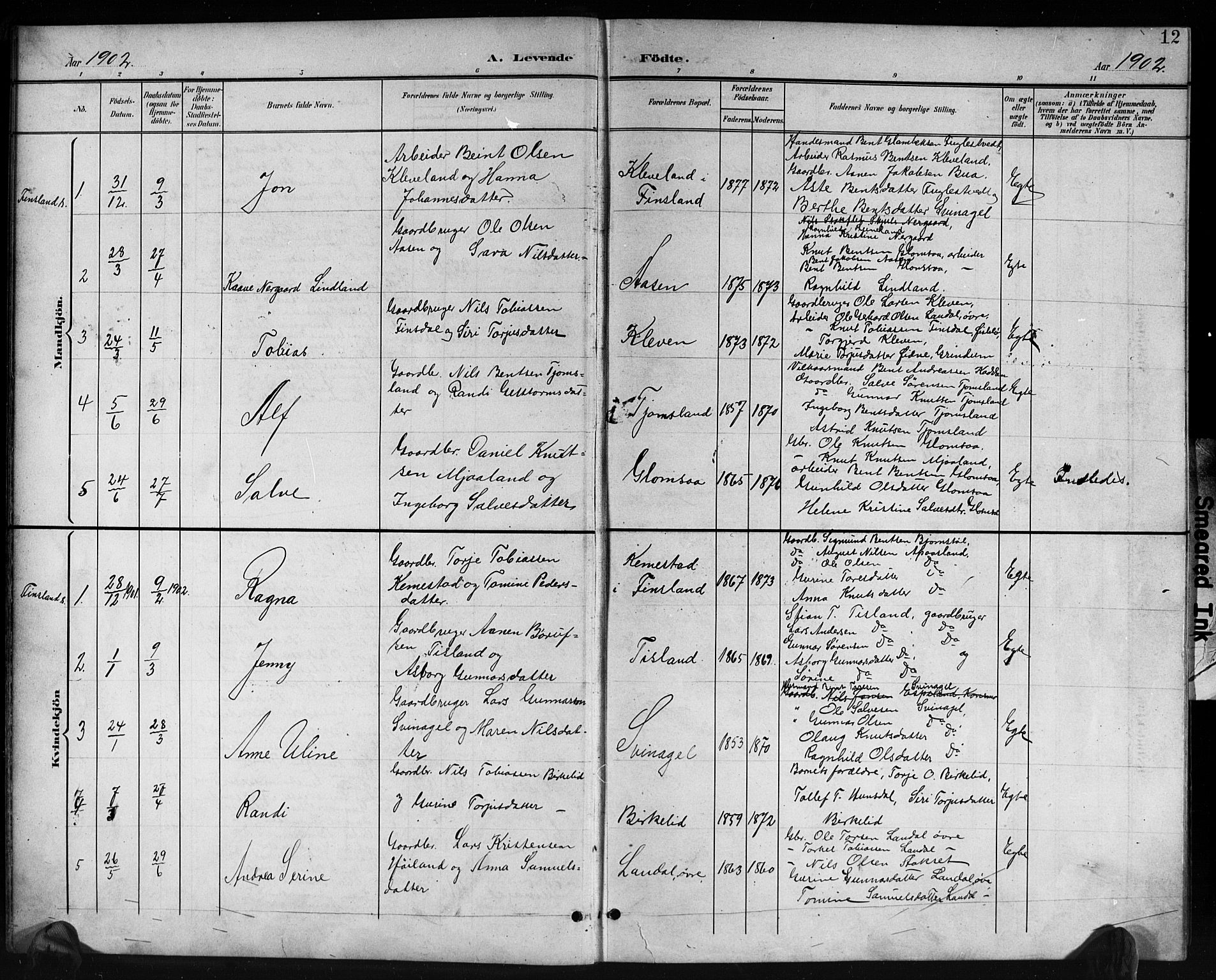 Holum sokneprestkontor, SAK/1111-0022/F/Fb/Fbb/L0004: Parish register (copy) no. B 4, 1899-1920, p. 12