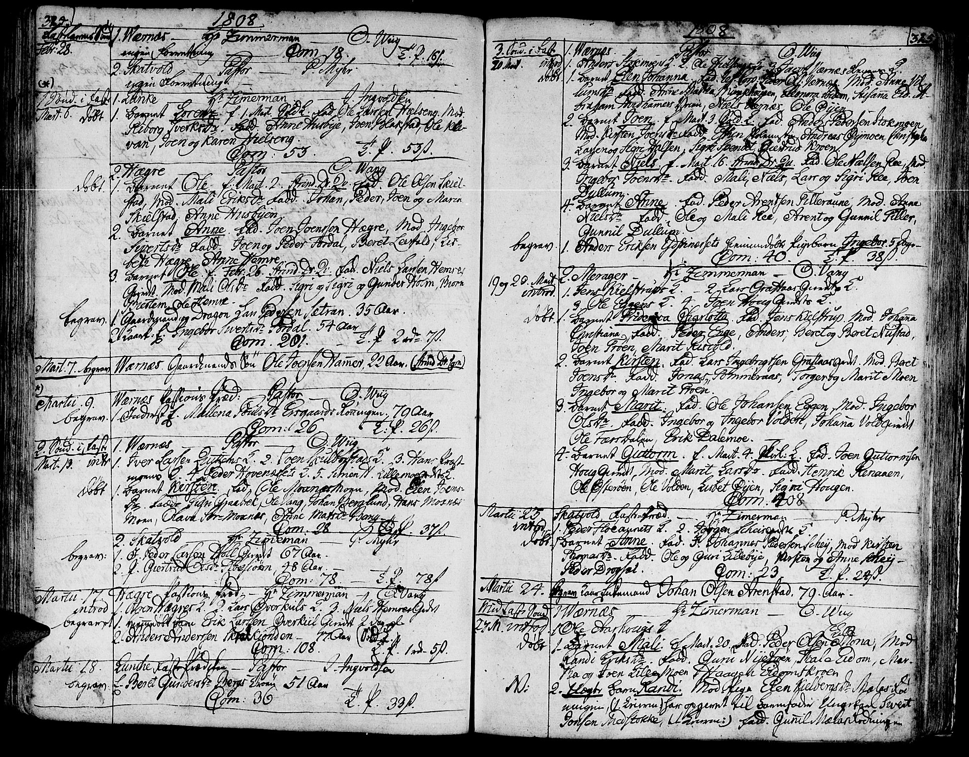 Ministerialprotokoller, klokkerbøker og fødselsregistre - Nord-Trøndelag, SAT/A-1458/709/L0060: Parish register (official) no. 709A07, 1797-1815, p. 324-325