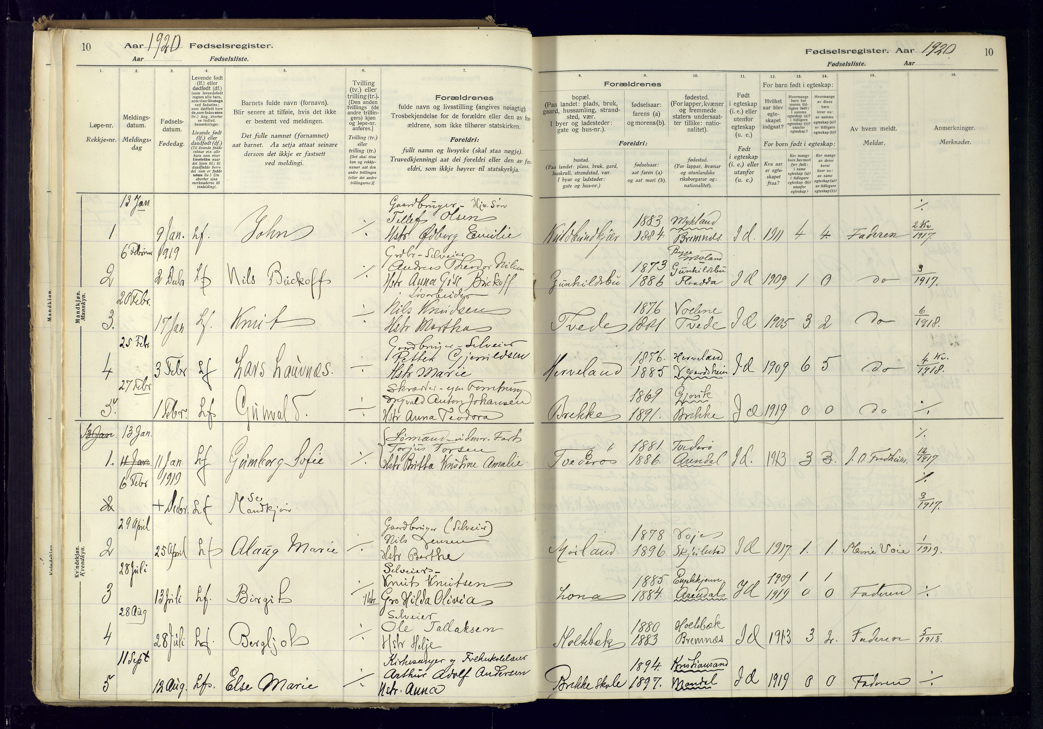 Austre Moland sokneprestkontor, SAK/1111-0001/J/Ja/L0001: Birth register no. A-VI-25, 1916-1975, p. 10
