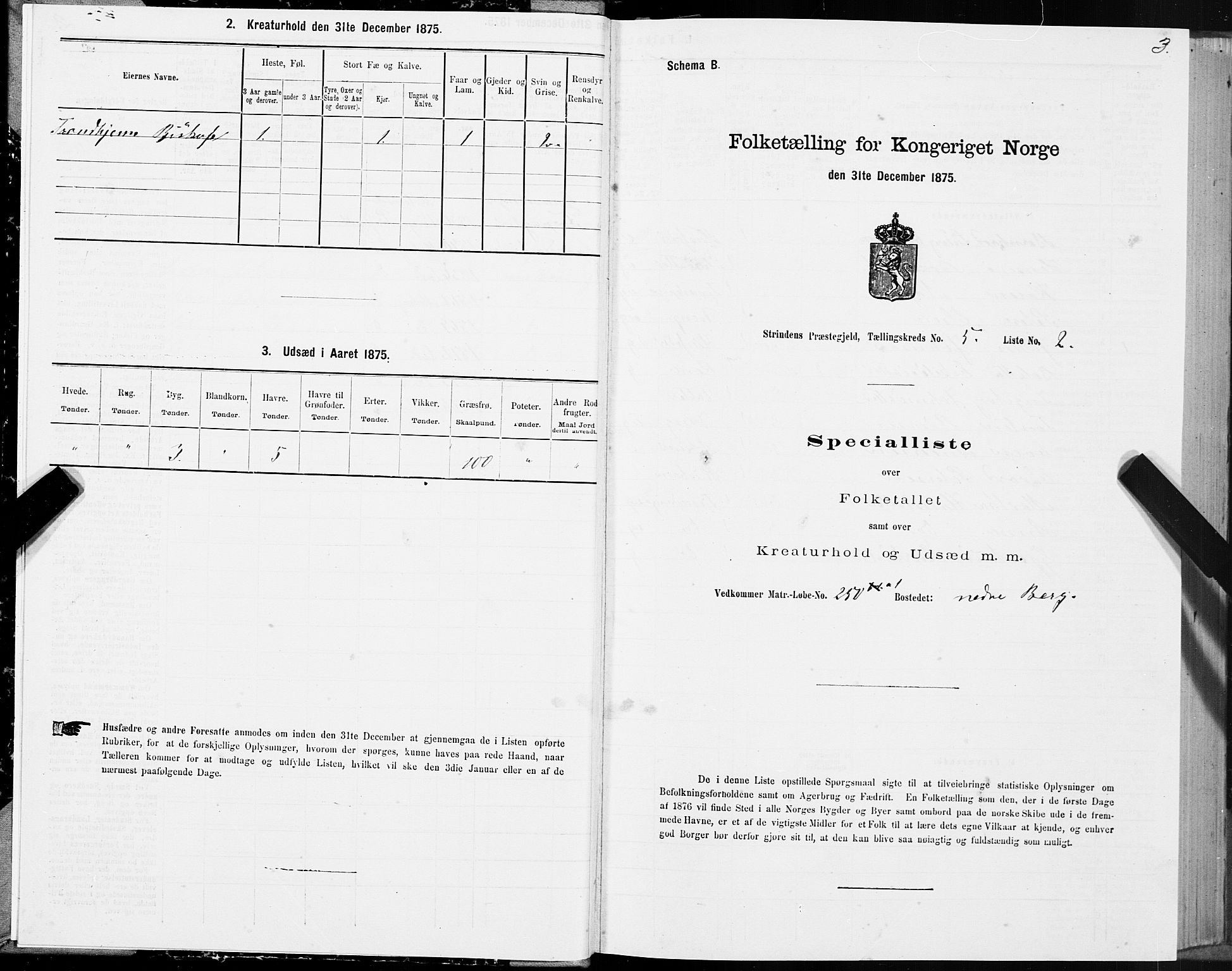 SAT, 1875 census for 1660P Strinda, 1875, p. 3003