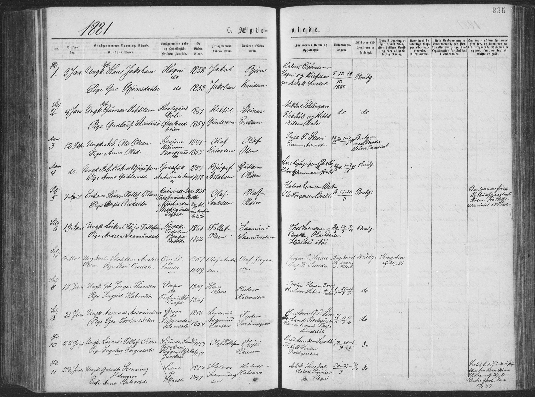 Seljord kirkebøker, SAKO/A-20/F/Fa/L0014: Parish register (official) no. I 14, 1877-1886, p. 335