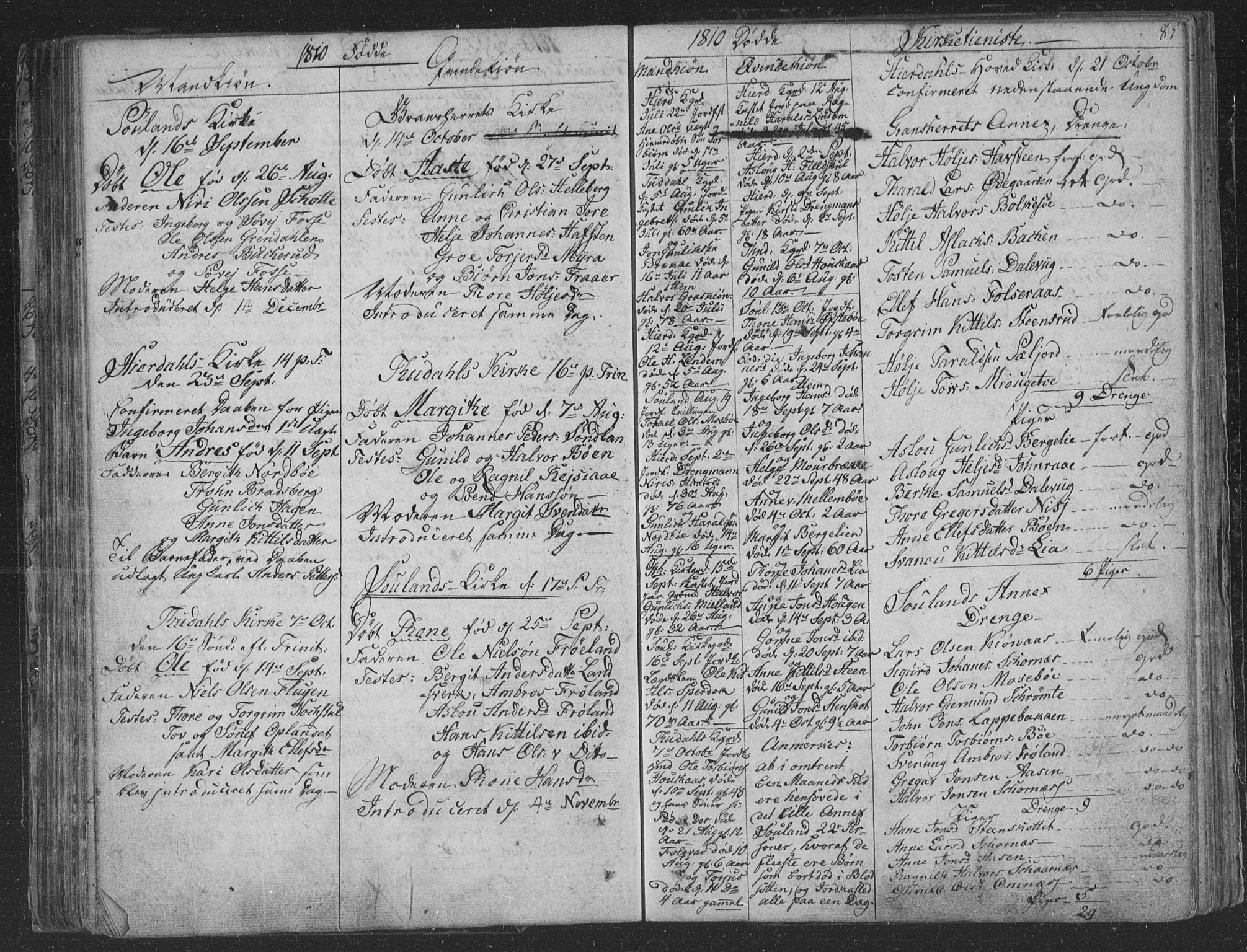 Hjartdal kirkebøker, AV/SAKO-A-270/F/Fa/L0006: Parish register (official) no. I 6, 1801-1814, p. 85
