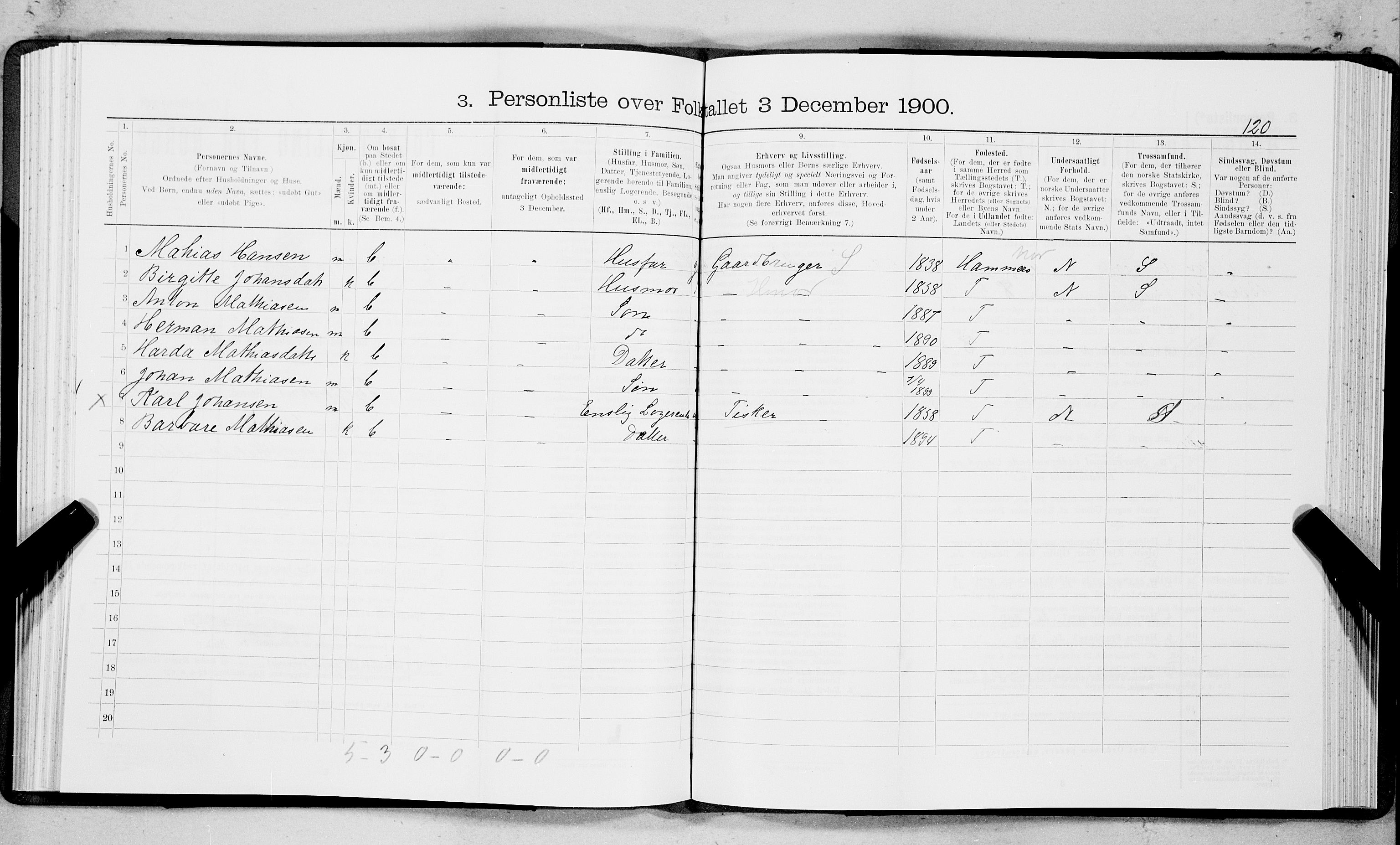 SAT, 1900 census for Tysfjord, 1900, p. 133