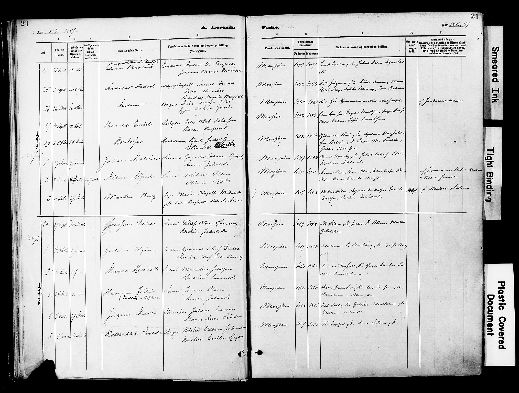 Ministerialprotokoller, klokkerbøker og fødselsregistre - Nordland, SAT/A-1459/820/L0296: Parish register (official) no. 820A17, 1880-1903, p. 21
