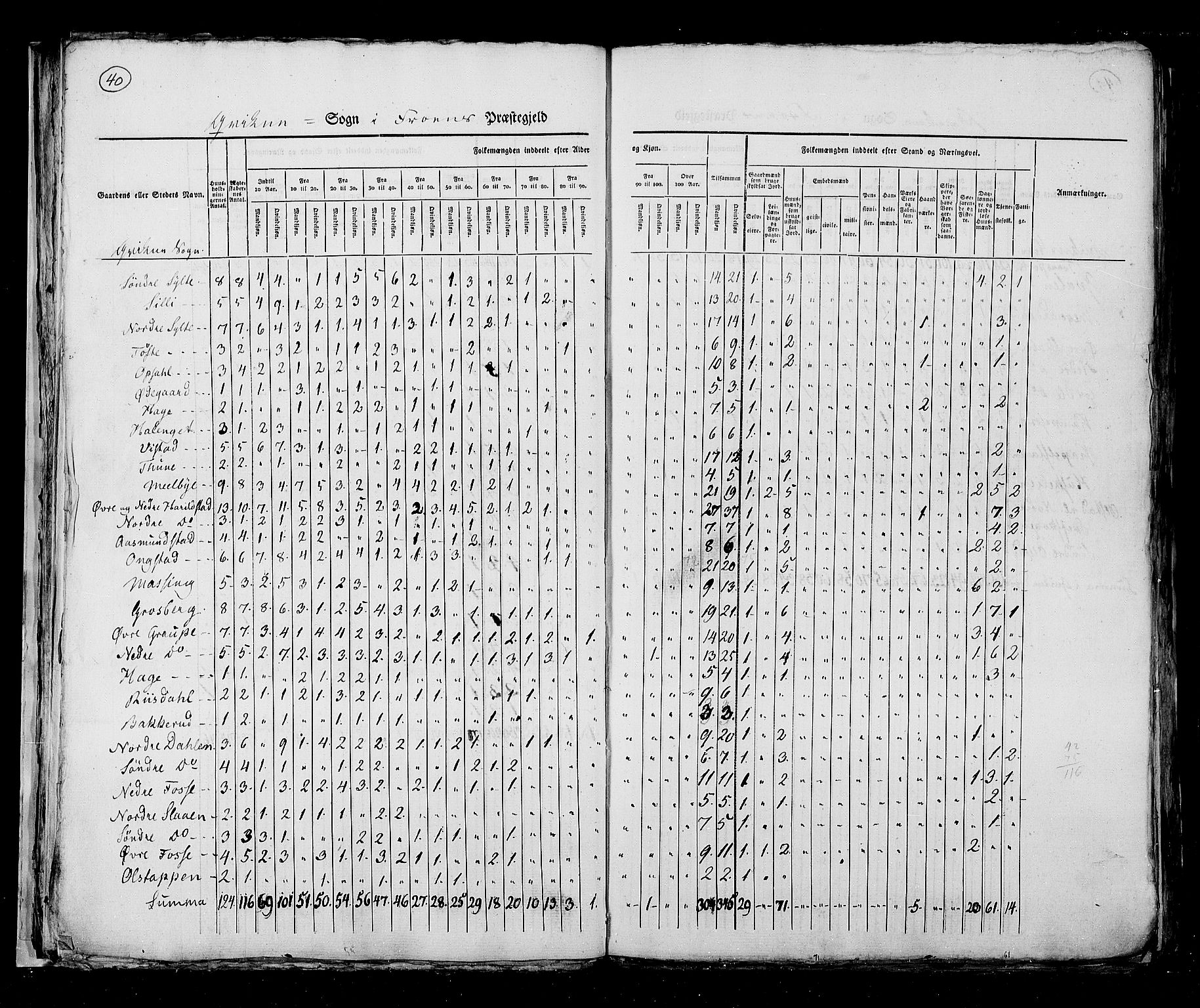 RA, Census 1825, vol. 6: Kristians amt, 1825, p. 40