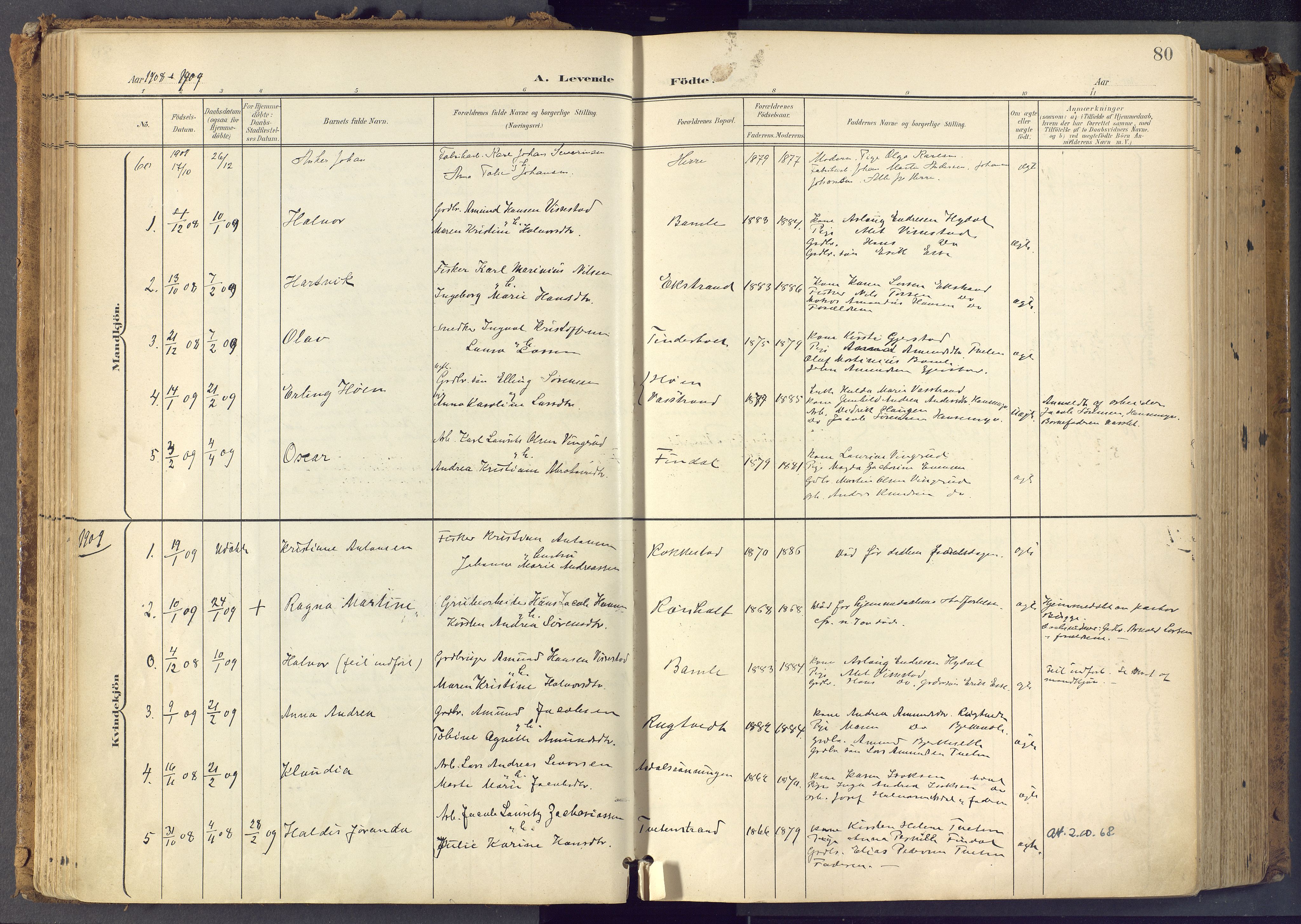 Bamble kirkebøker, SAKO/A-253/F/Fa/L0009: Parish register (official) no. I 9, 1901-1917, p. 80