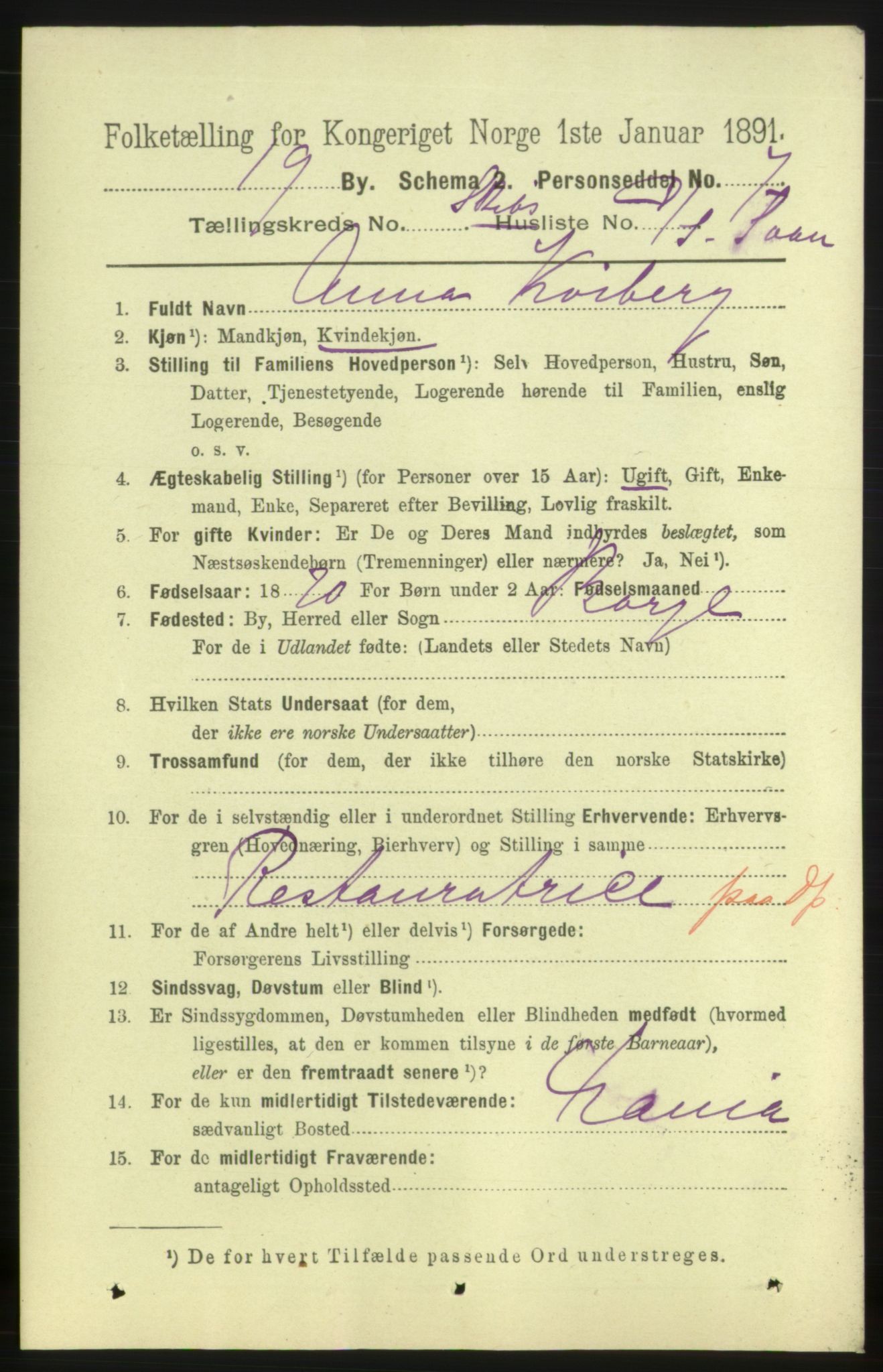 RA, 1891 census for 0702 Holmestrand, 1891, p. 2984